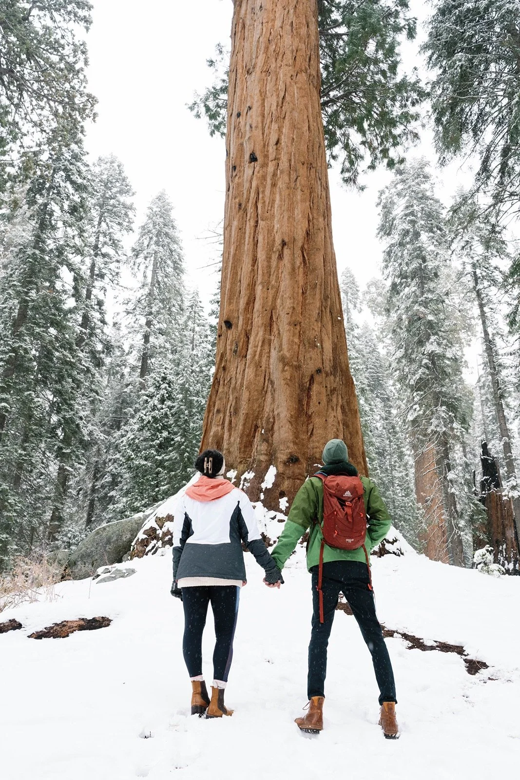 surprise-proposal-beetle-rock-sequoia-photo148.jpg