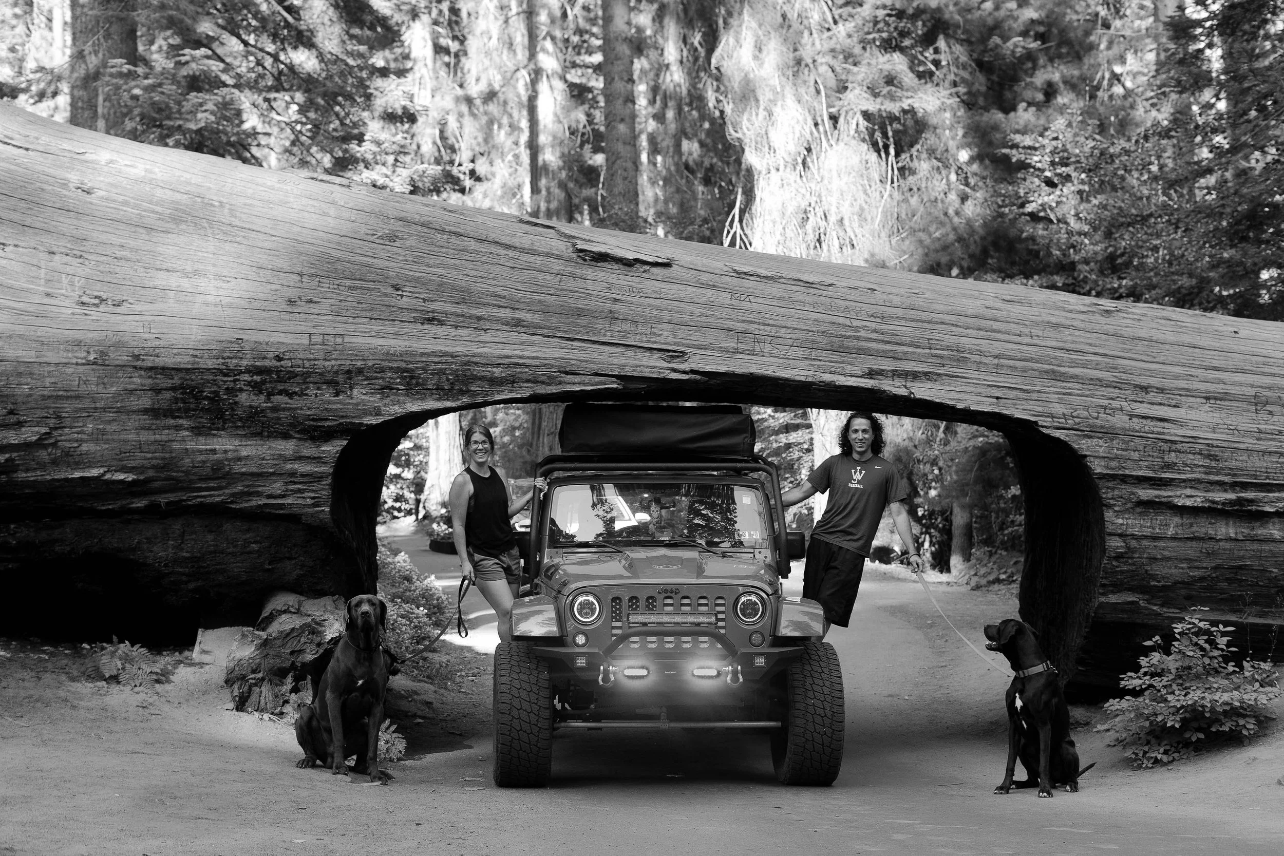 -sequoia-national-park-engagement-photos09989.jpg