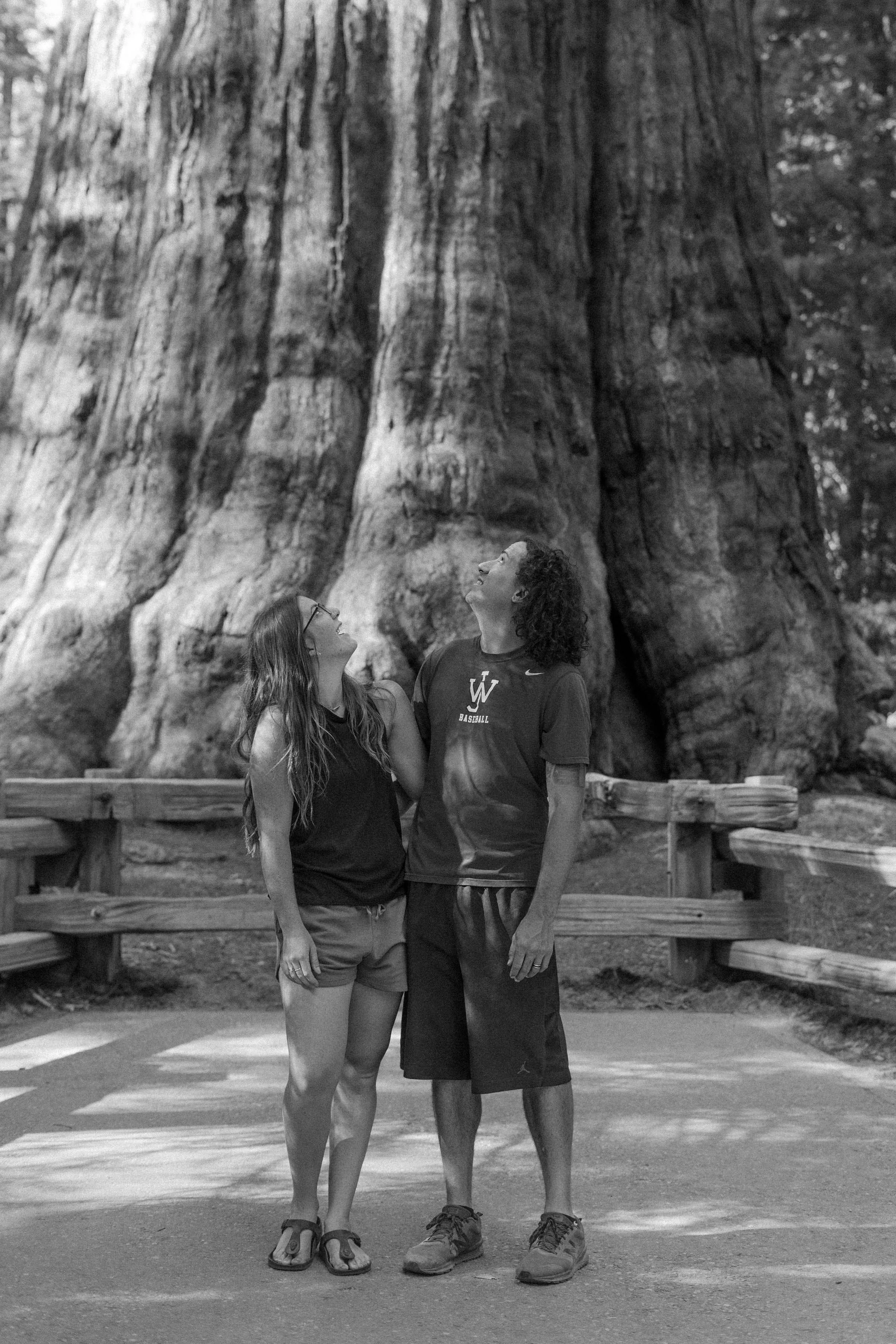 -sequoia-national-park-engagement-photos09959.jpg