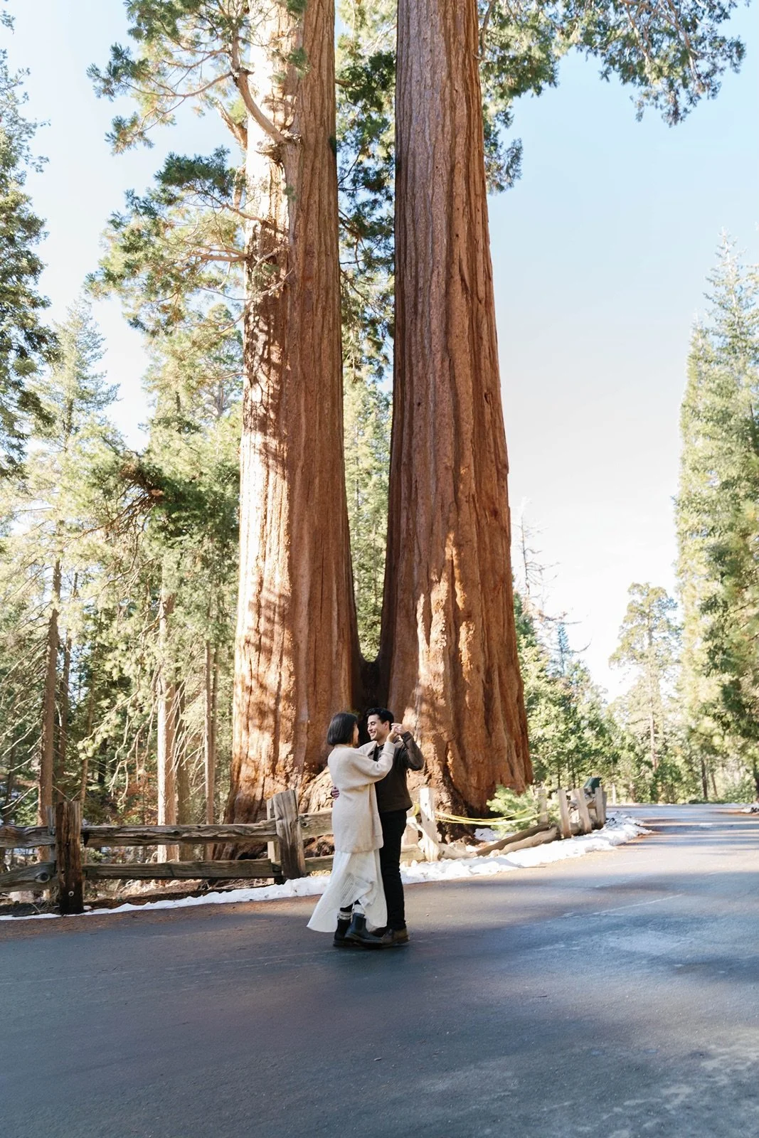 sequoia-national-park-proposal-engagement-42.jpg
