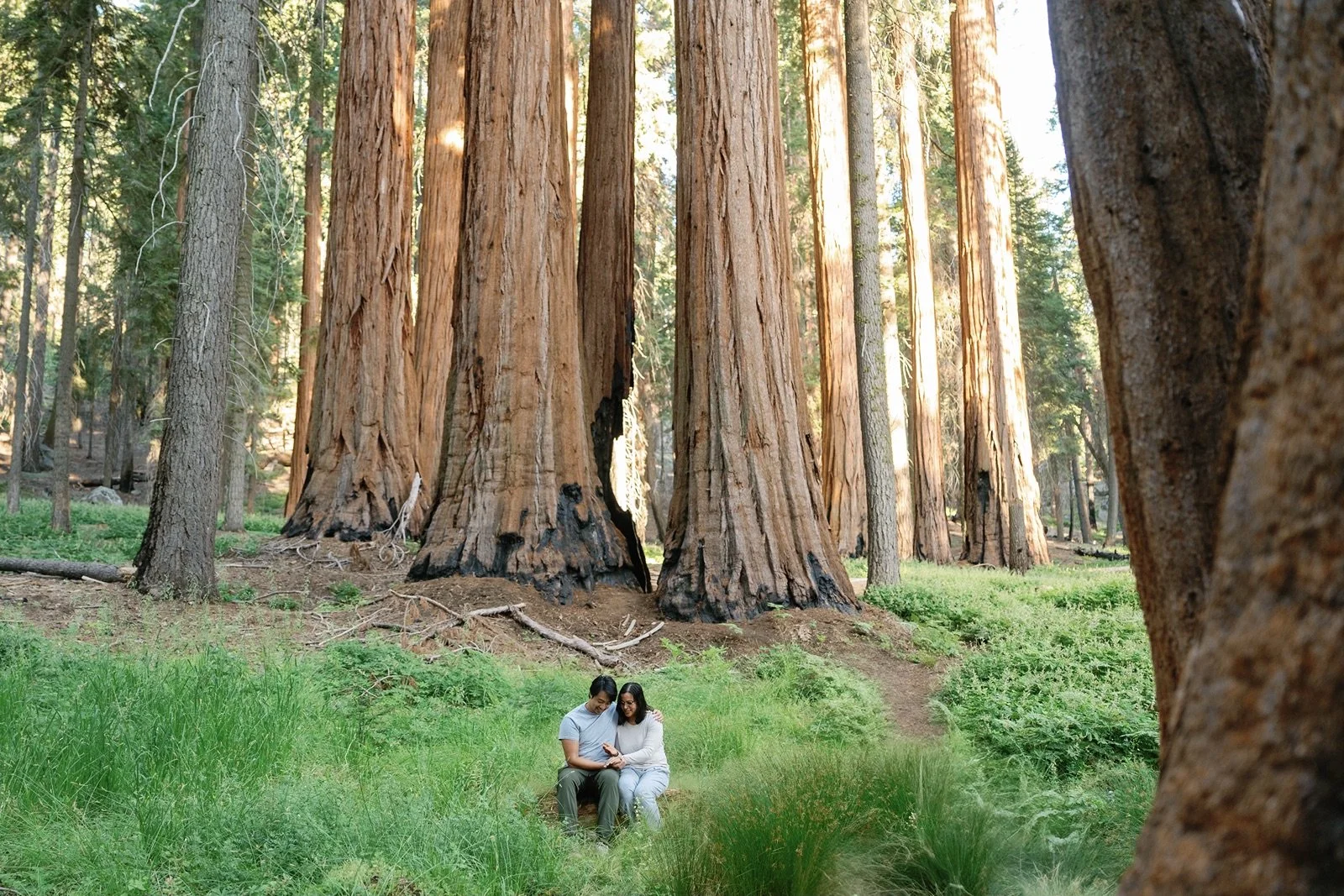 sequoia-national-park-engagment-43.jpg