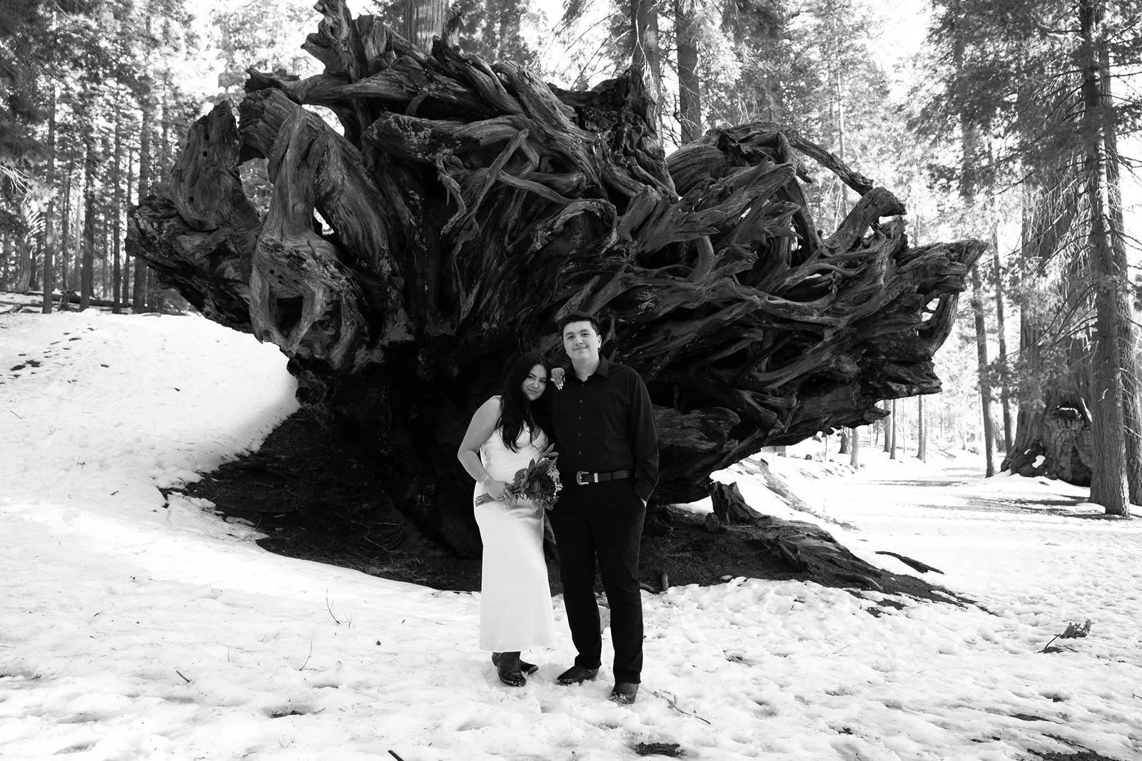 sequoia-national-park-winter-elopement-12.jpg
