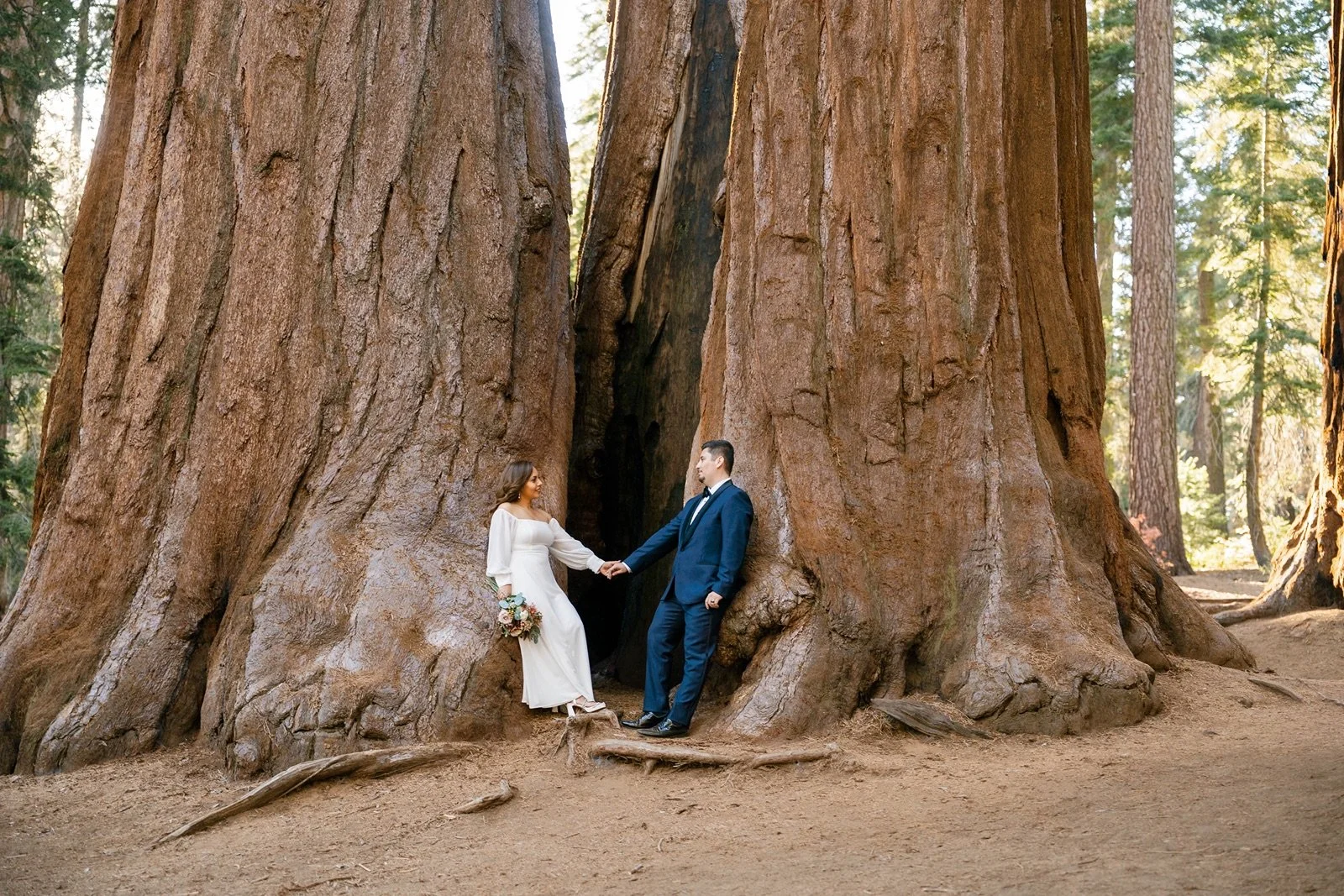 sequoia-national-park-elopement162.jpg