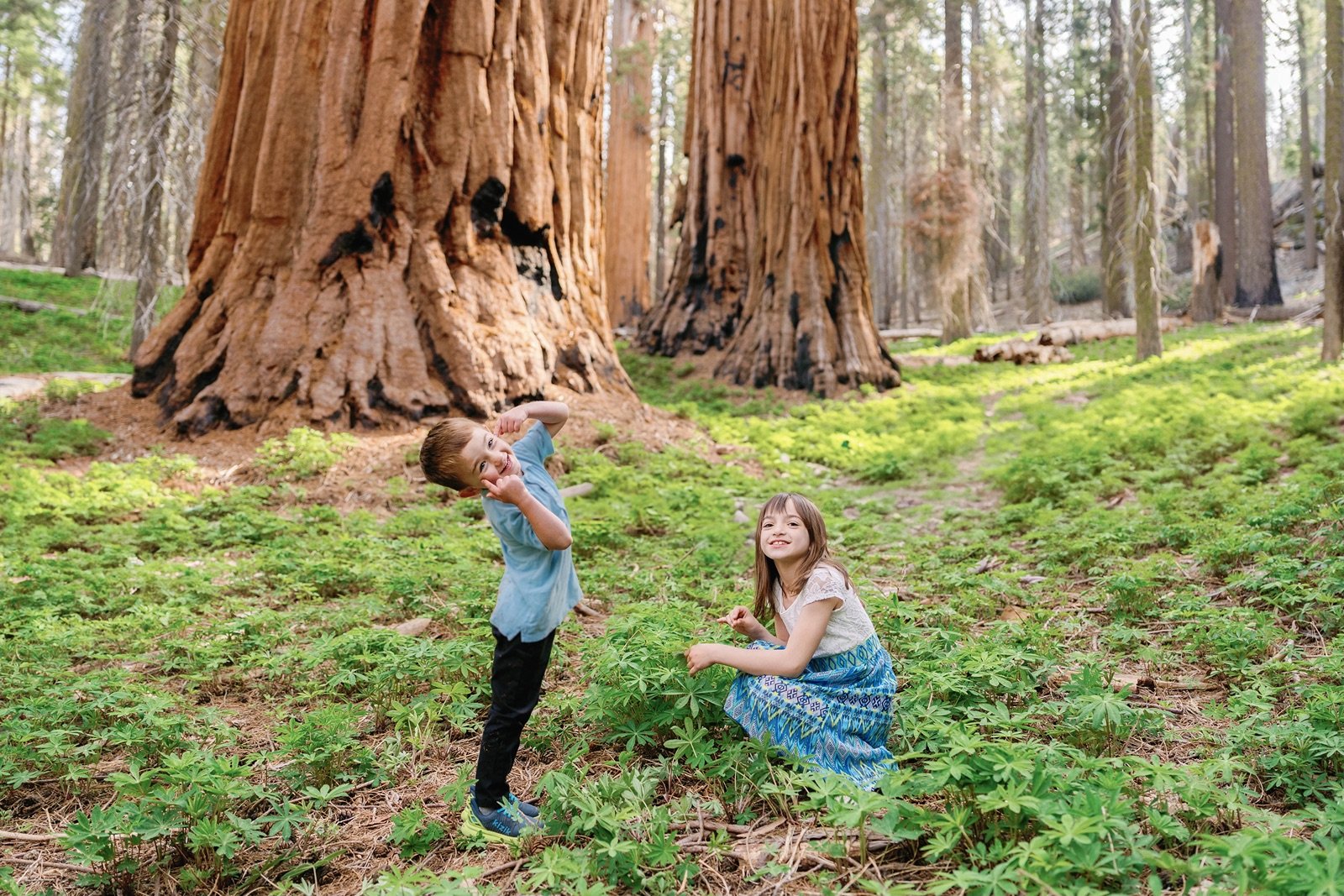 sequoia-national-park-elopement-photographer-177.jpg