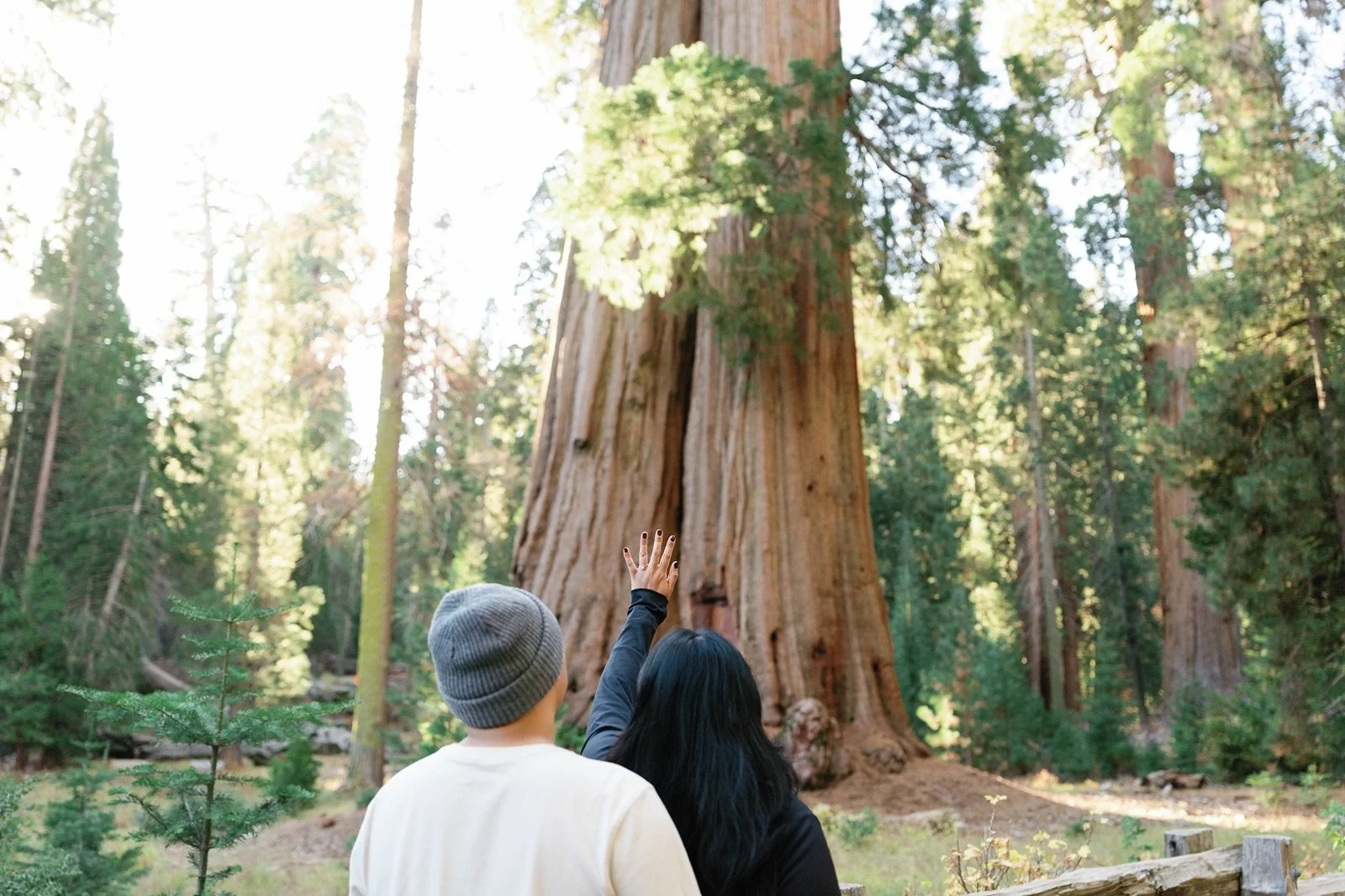 sequoia-national-park-engagement-photographer-46.jpg