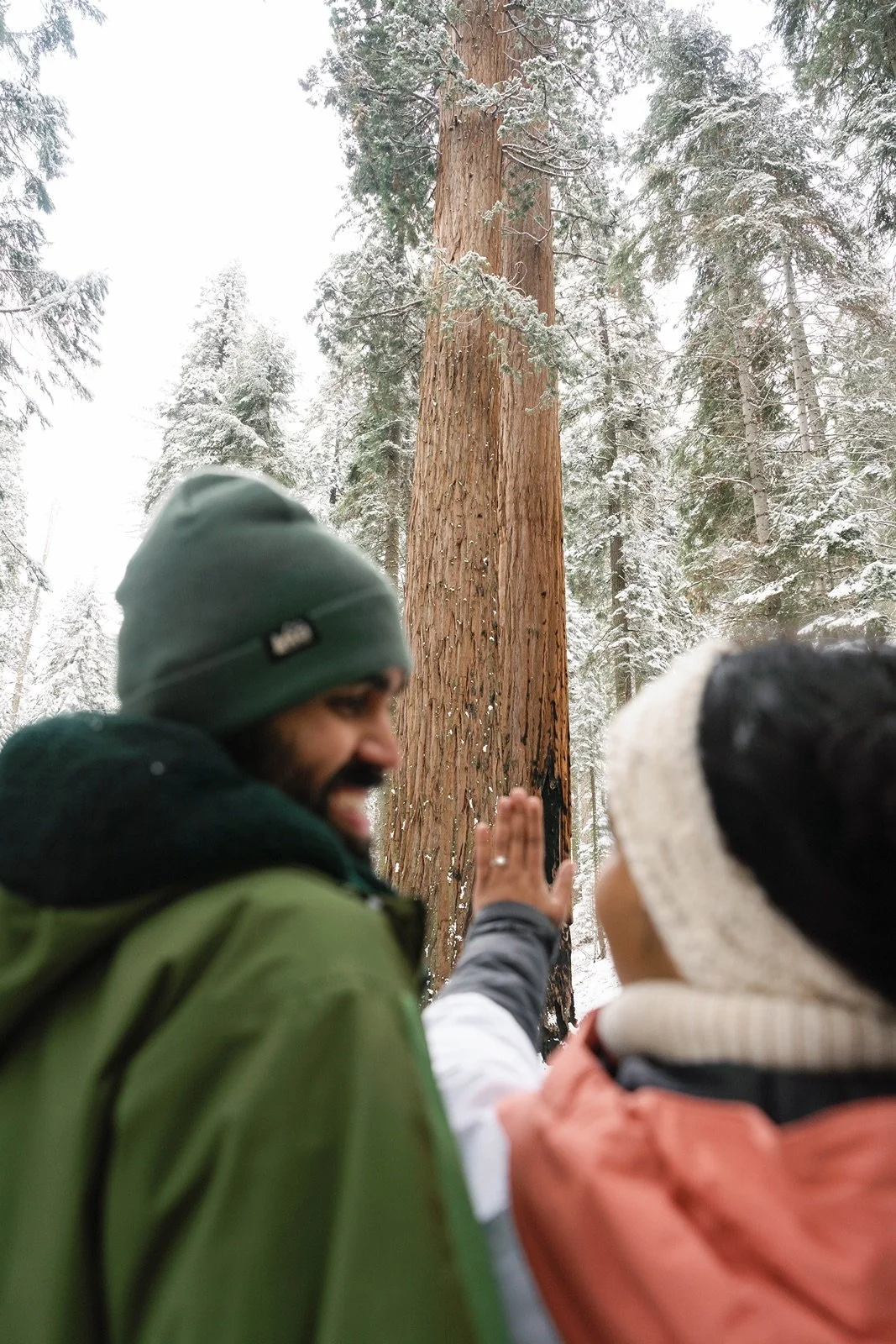 surprise-proposal-beetle-rock-sequoia-photo112.jpg
