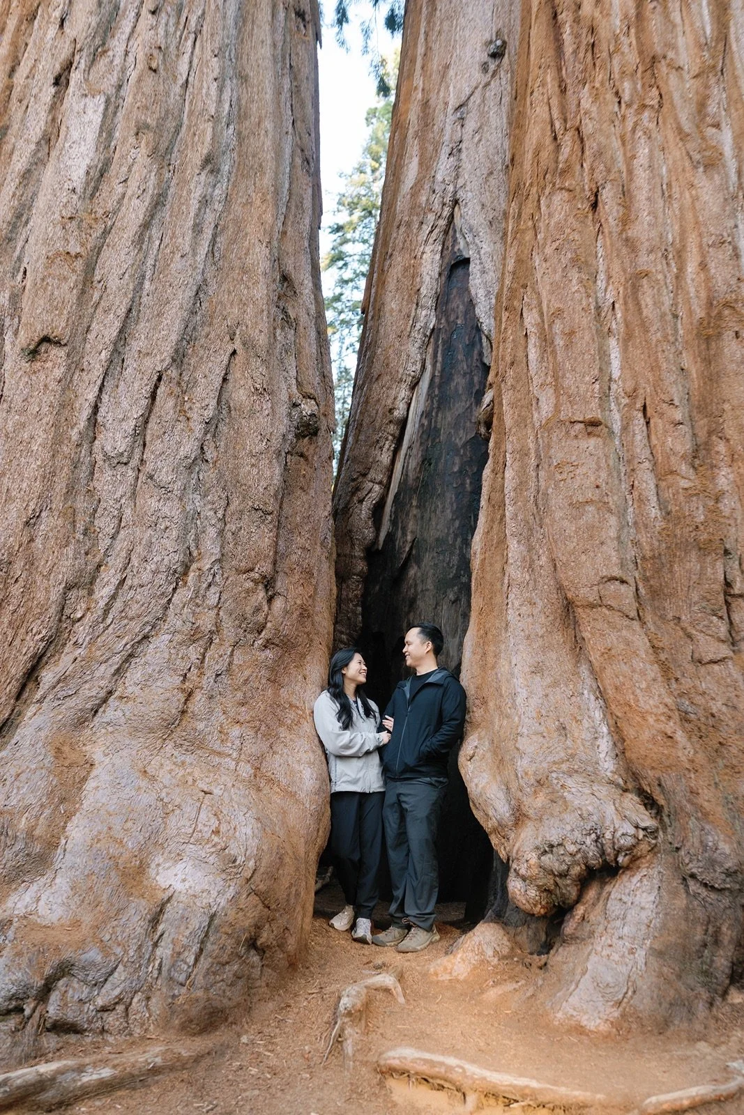 sequoia-national-park-parker-group-engagement-12.jpg