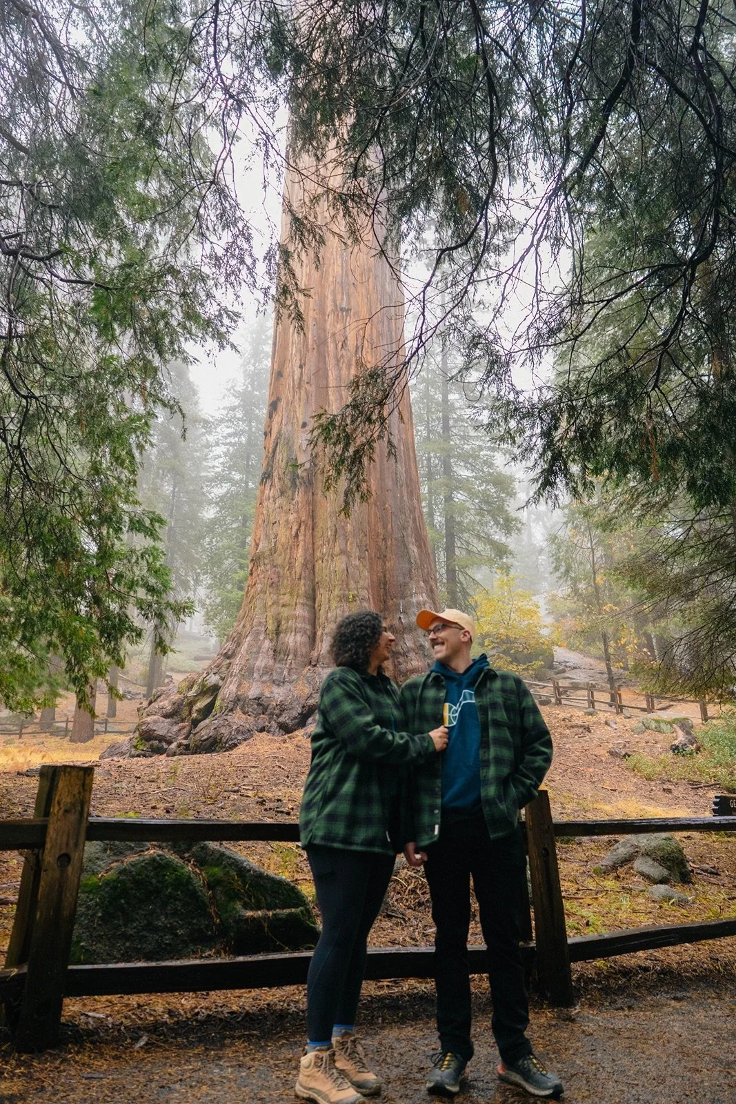 where-to-propose-sequoia-3.jpg