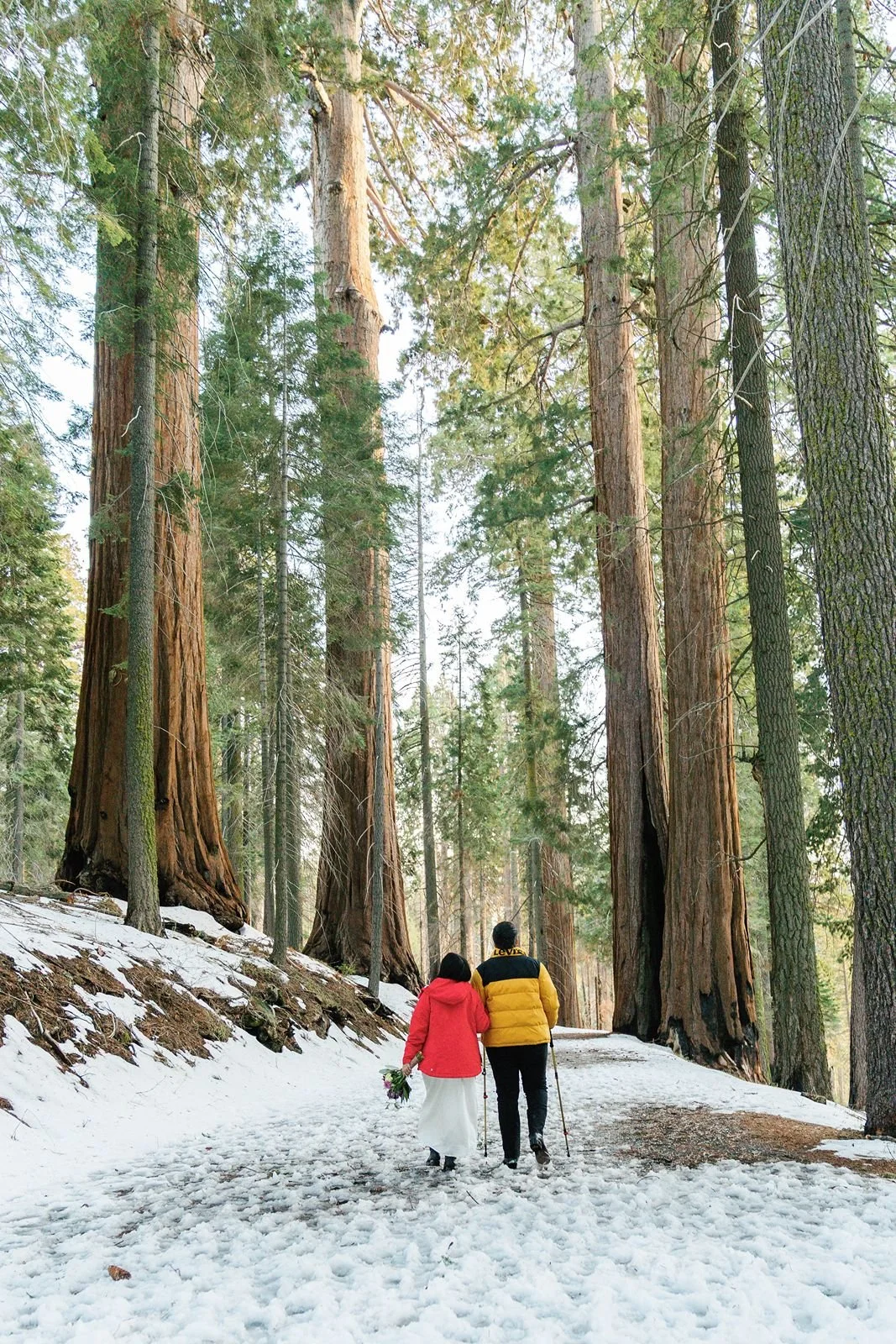 sequoia-national-park-winter-elopement-9.jpg