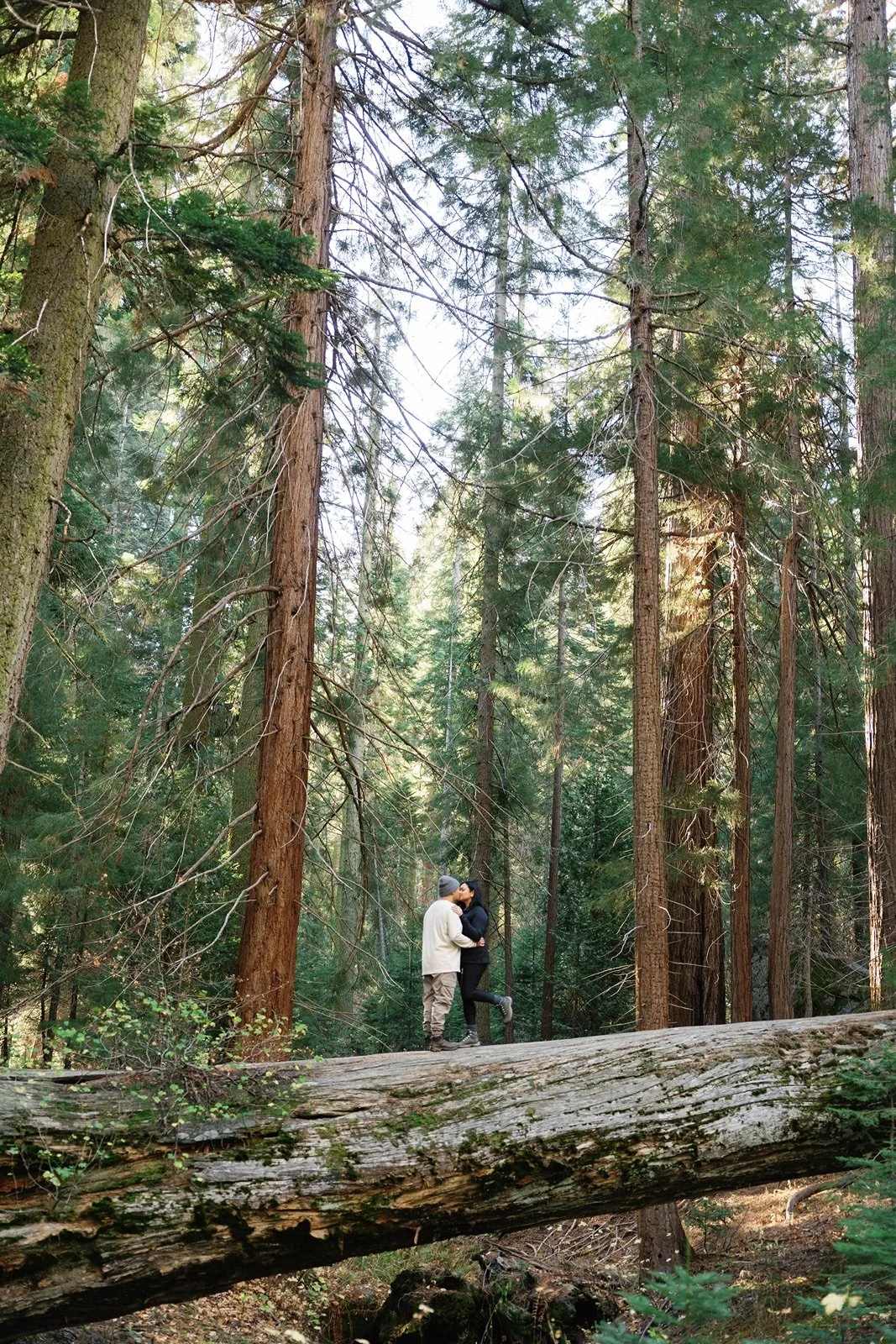 sequoia-national-park-engagement-photographer-66.jpg
