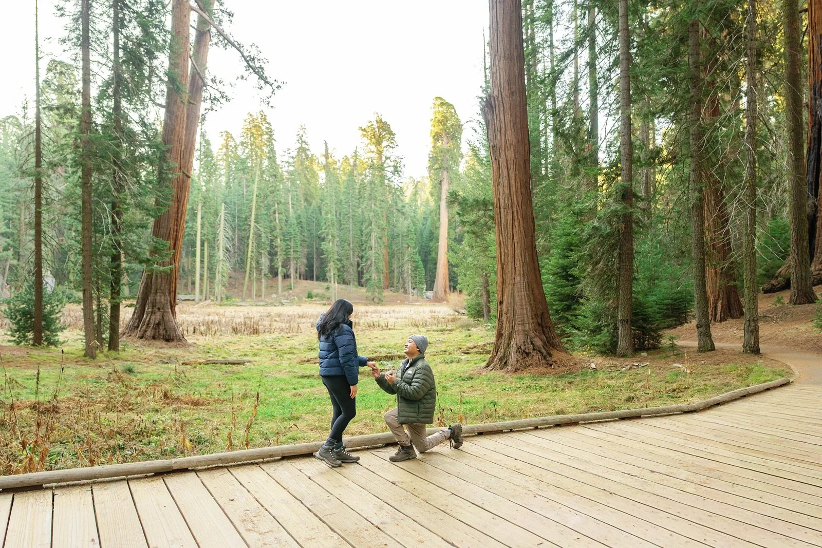 sequoia-national-park-engagement-photographer-43.jpg