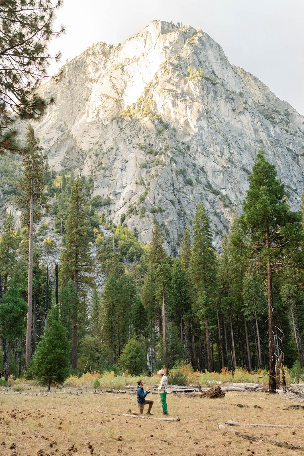 sequoia-engagement-photographer-45.jpg