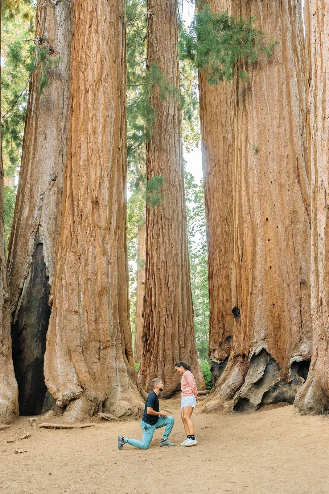 sequoia-national-park-engagment-session-65.jpg