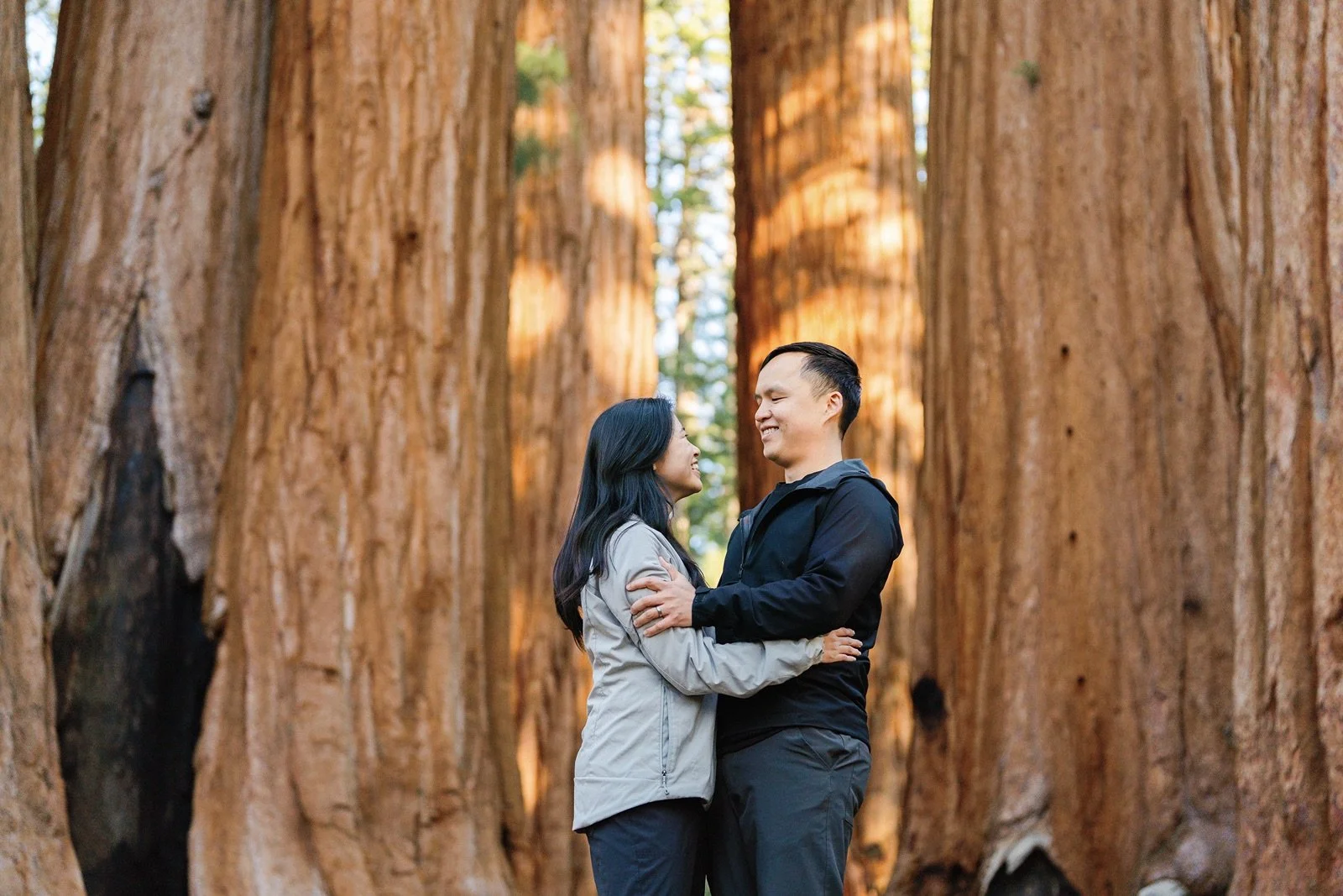 where-to-propose-in-sequoia3.jpg