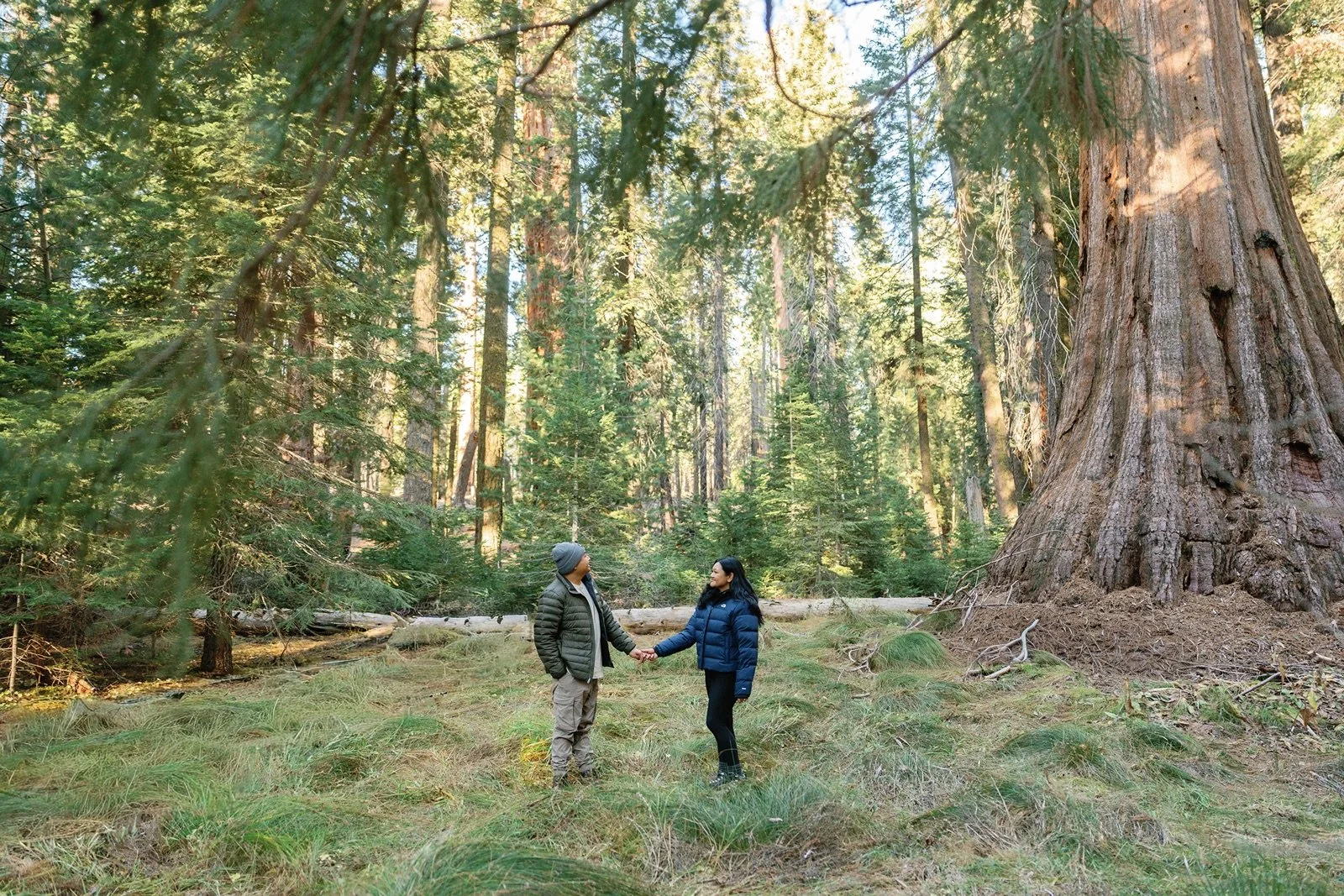 sequoia-national-park-engagement-photographer-2.jpg