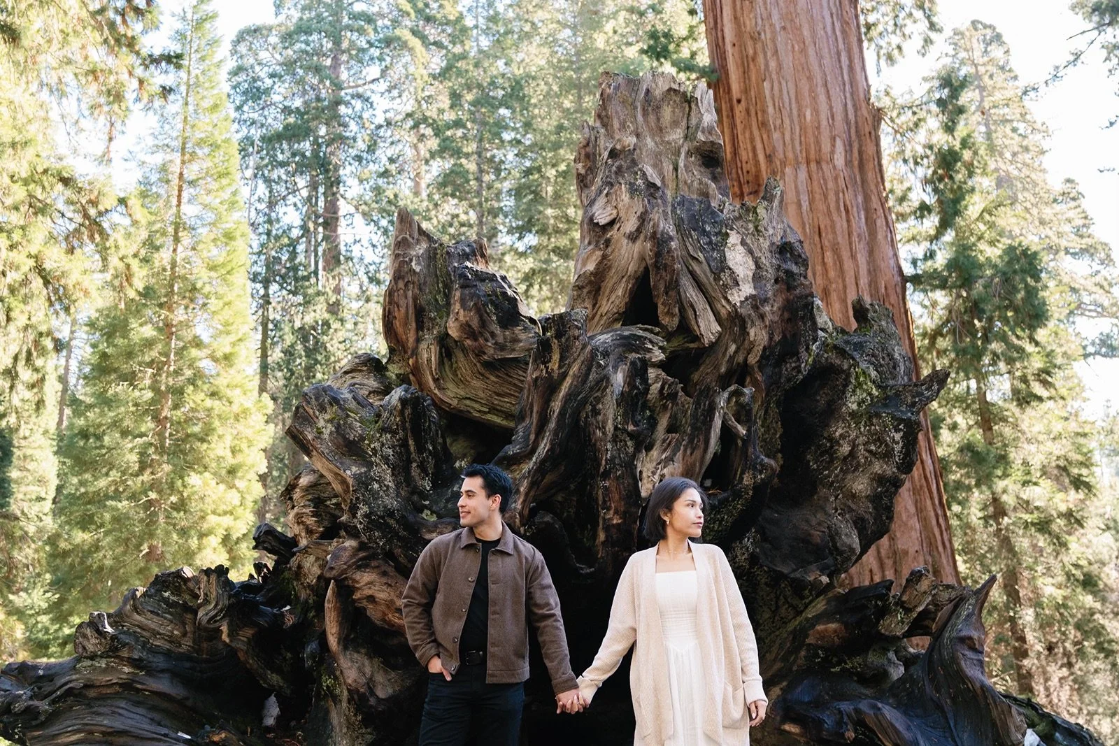 sequoia-national-park-proposal-engagement-23.jpg