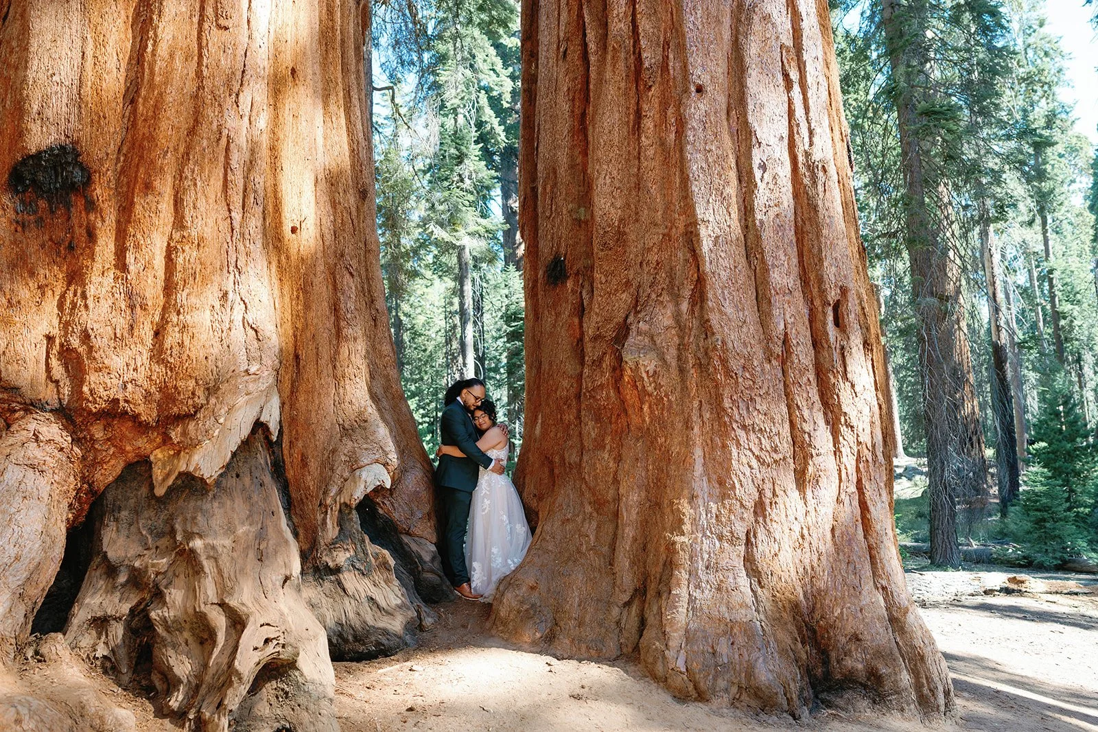 Bride and groom hug at their intimate Sequoia elopement