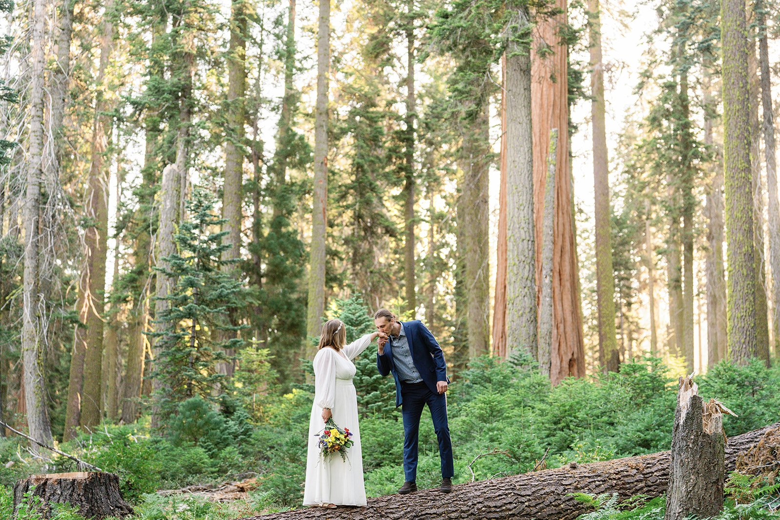 Why Intimate Elopements in Sequoia Feel So Different From Traditional Weddings