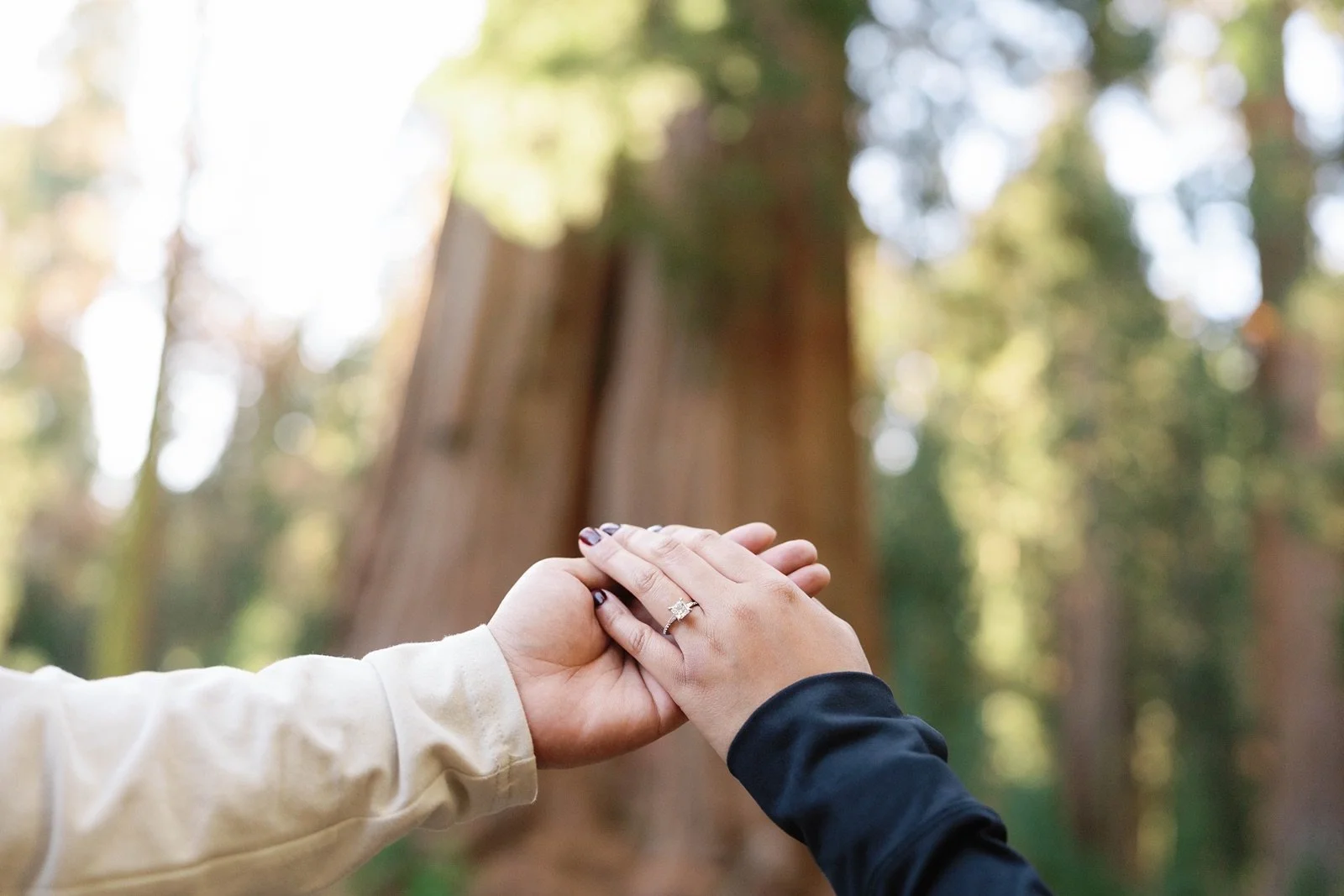 sequoia-national-park-engagement-photographer-139.jpg