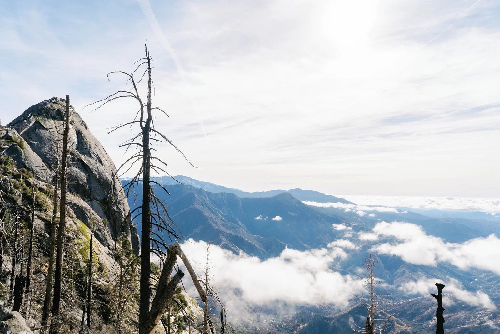 sequoia-national-park-photographer21.jpg