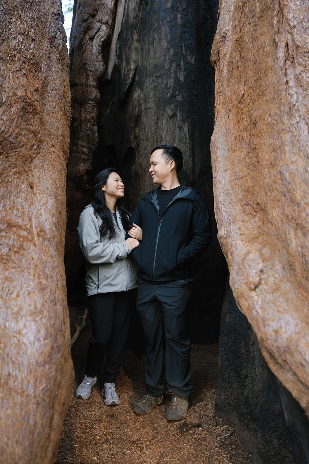 where-to-propose-in-sequoia6.jpg