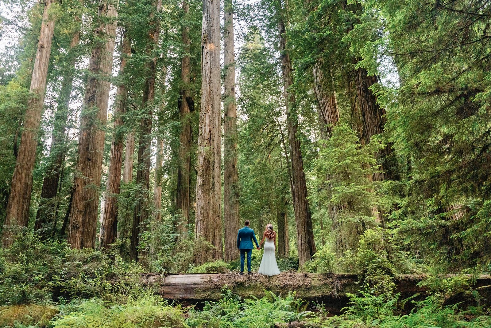 How to Elope in California National Parks