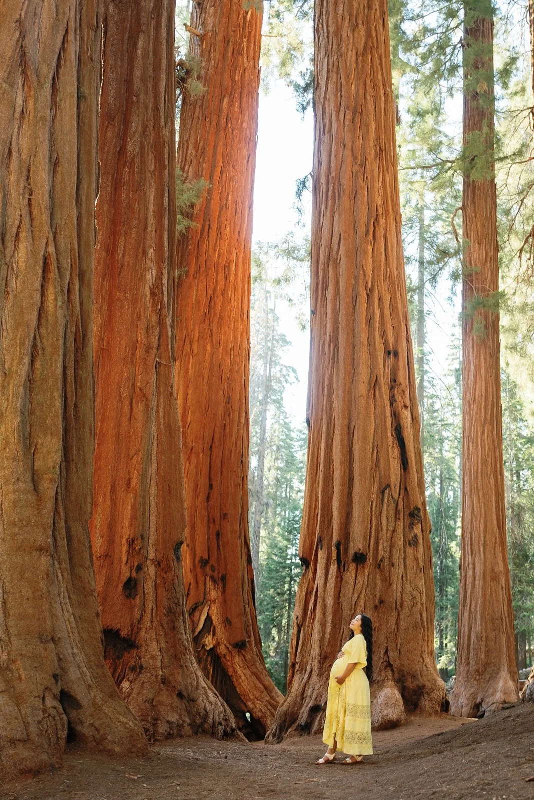 sequoia-national-park-maternity-photos58.jpg