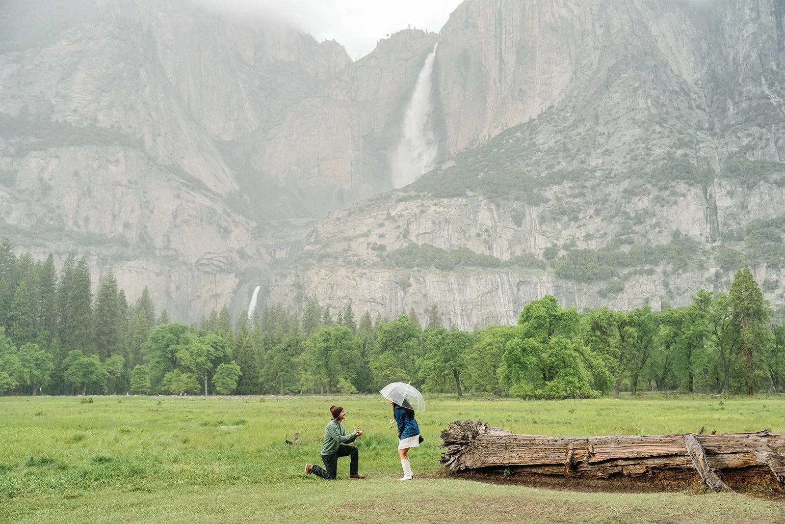 Man on one knee during Yosemite proposal