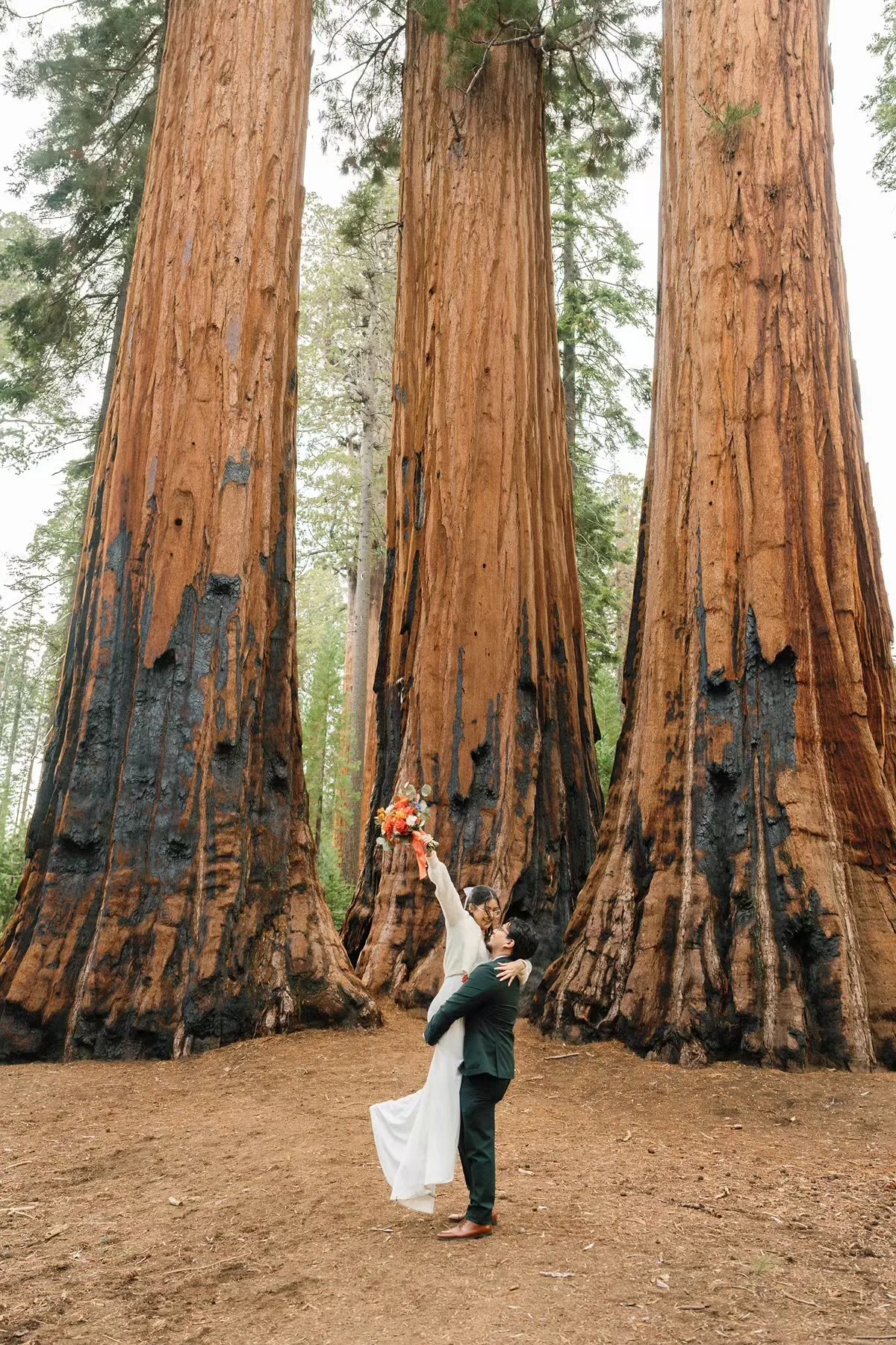 Sequoia National Park elopement couple among giant sequoia trees photograph by local sequoia photographer