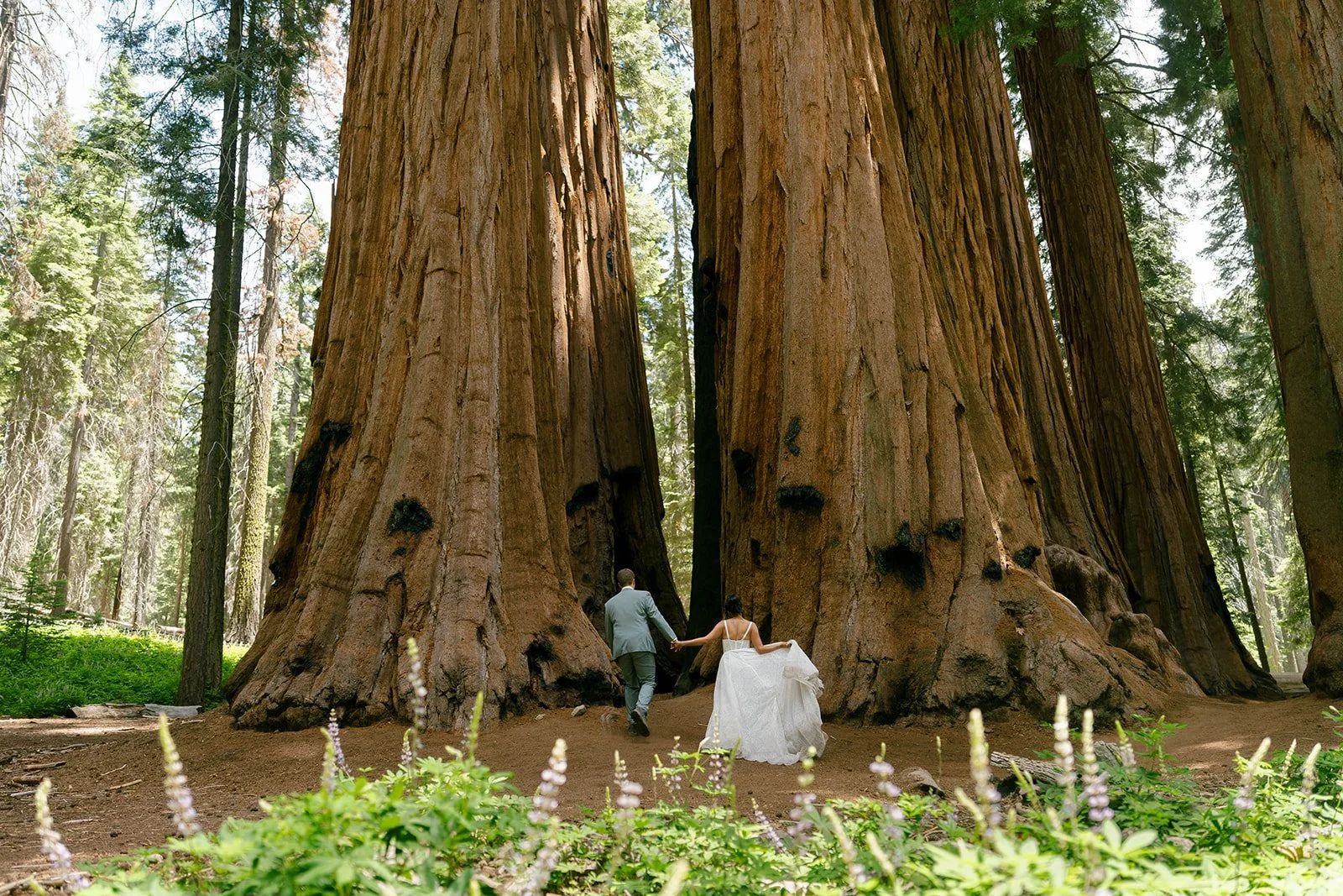 Couple exploring after their Lost Grove elopement ceremony