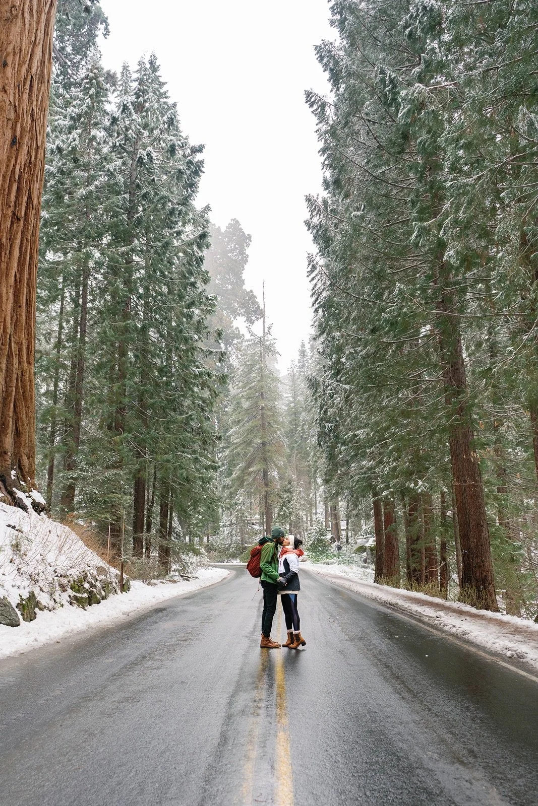 surprise-proposal-beetle-rock-sequoia-photo192.jpg