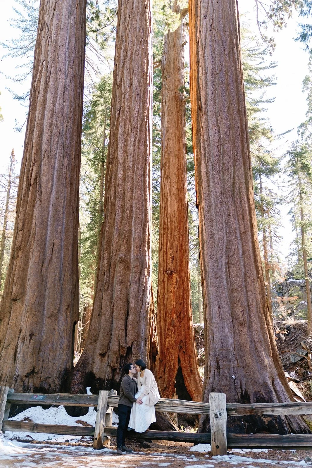 grant-grove-kings-canyon-sequoia-photographer17.jpg