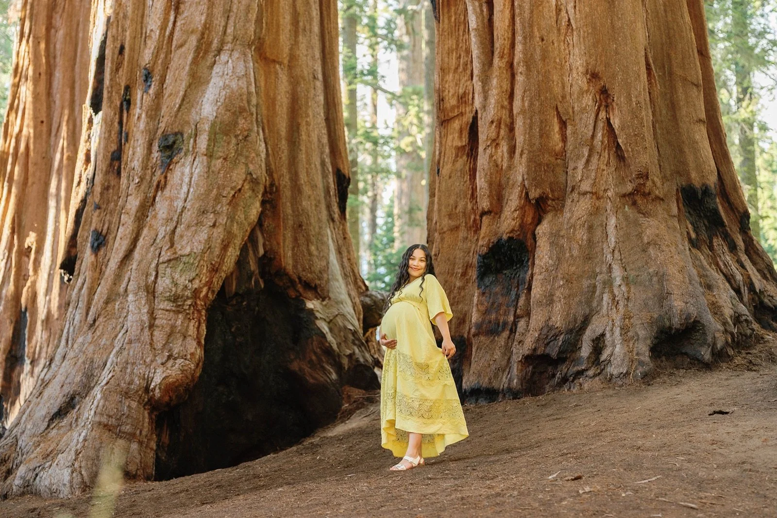 sequoia-national-park-maternity-photos35.jpg