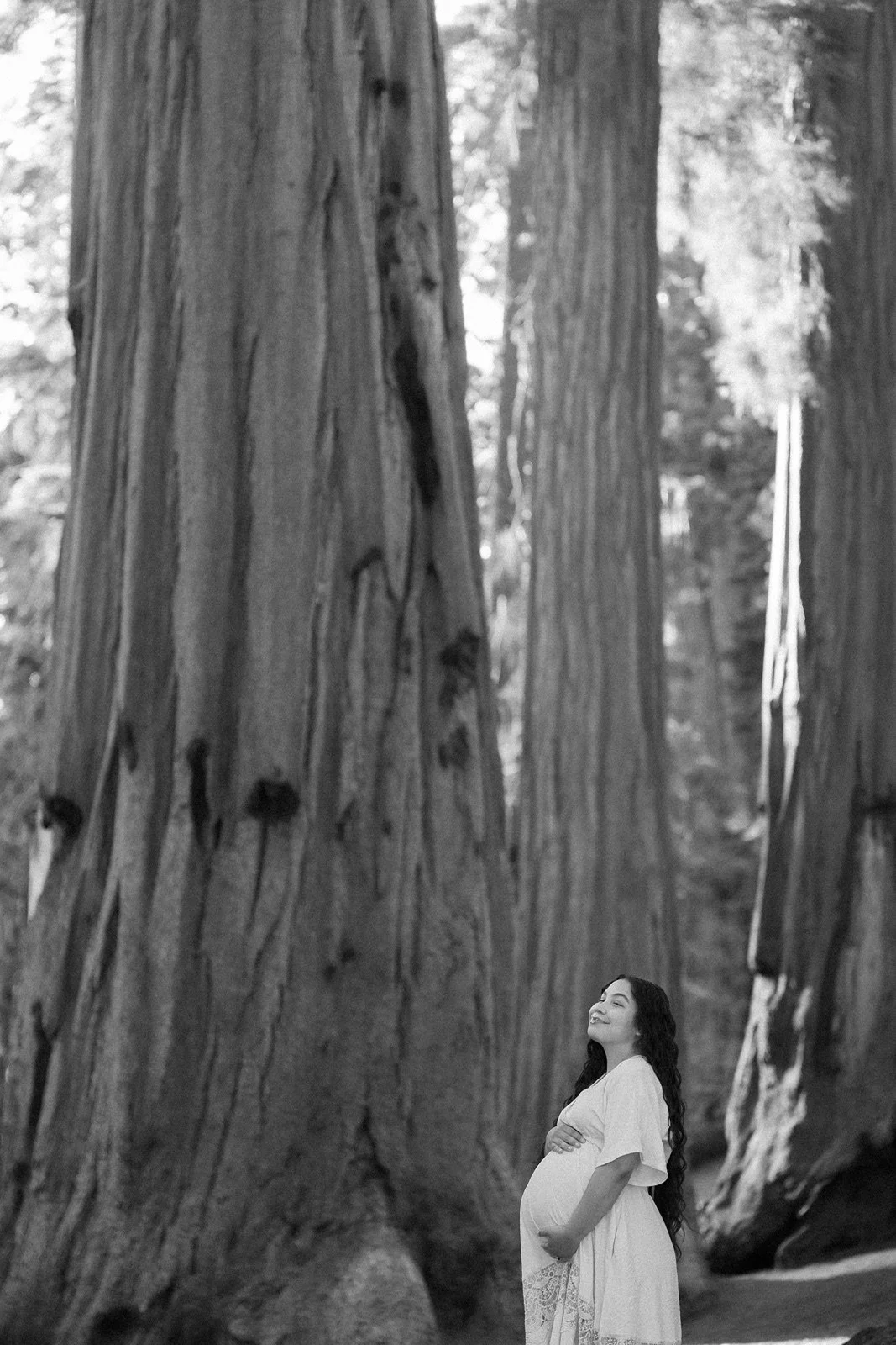 sequoia-national-park-maternity-photos11.jpg
