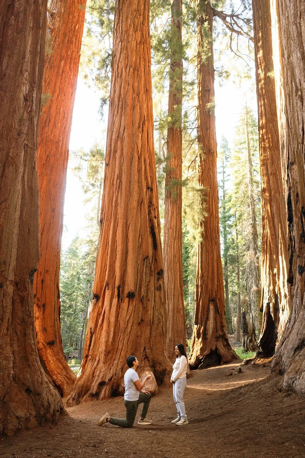 sequoia-national-park-engagment-112.jpg