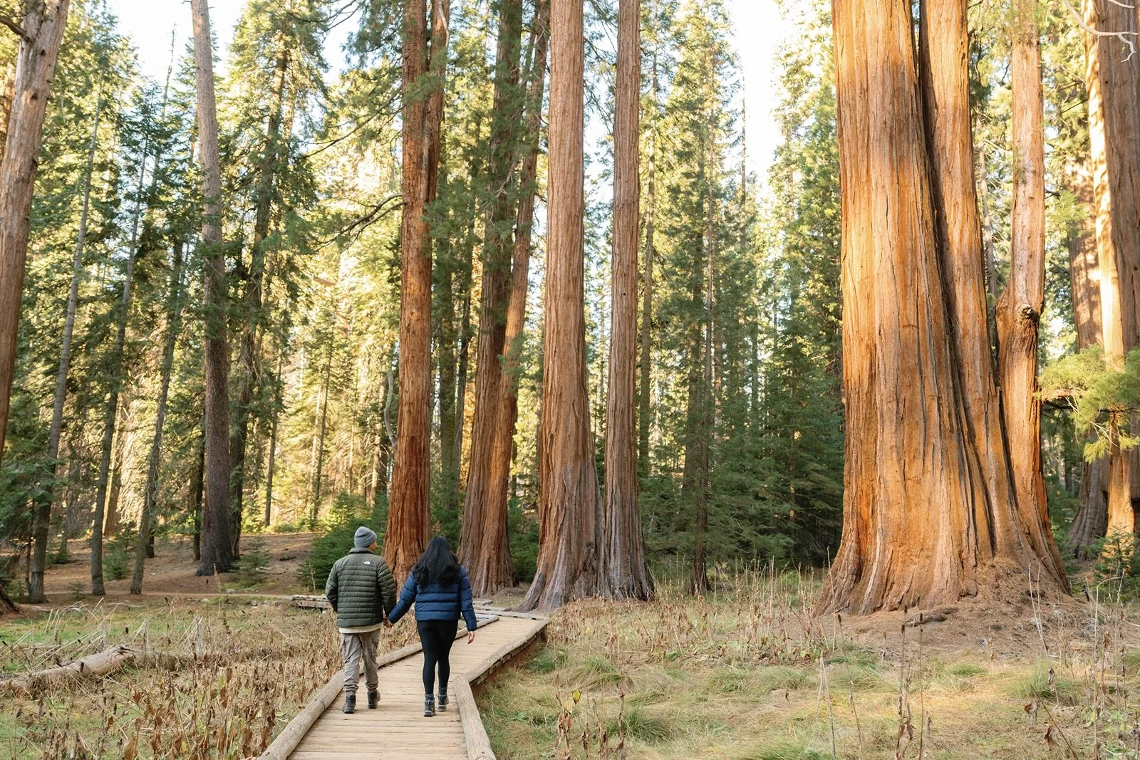 sequoia-national-park-engagement-photographer-96.jpg