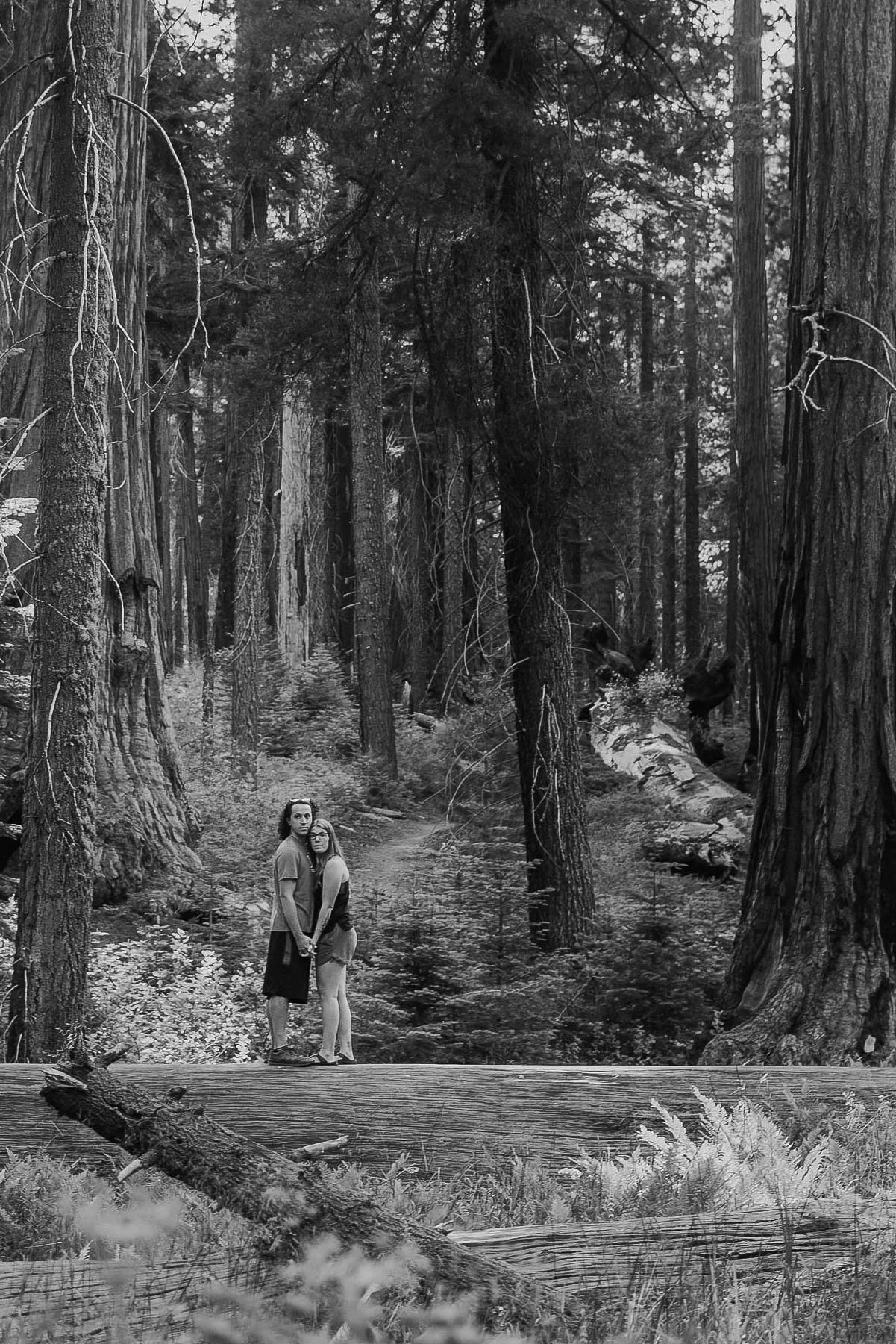 -sequoia-national-park-engagement-photos00097.jpg