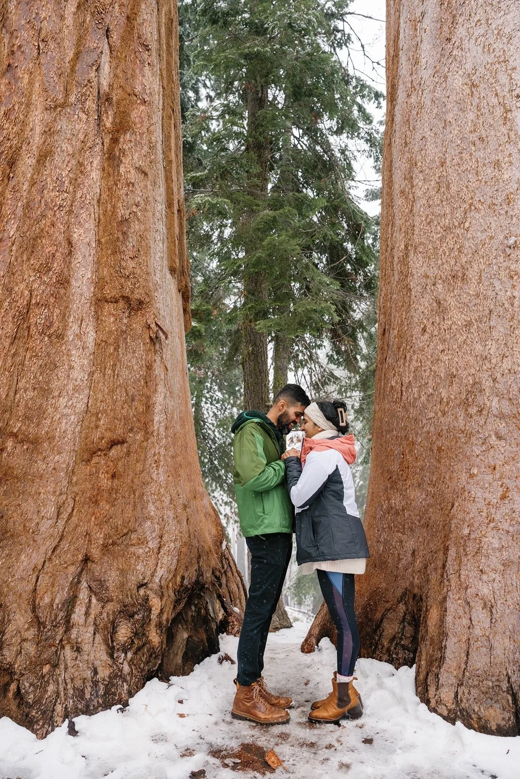 surprise-proposal-beetle-rock-sequoia-photo39.jpg