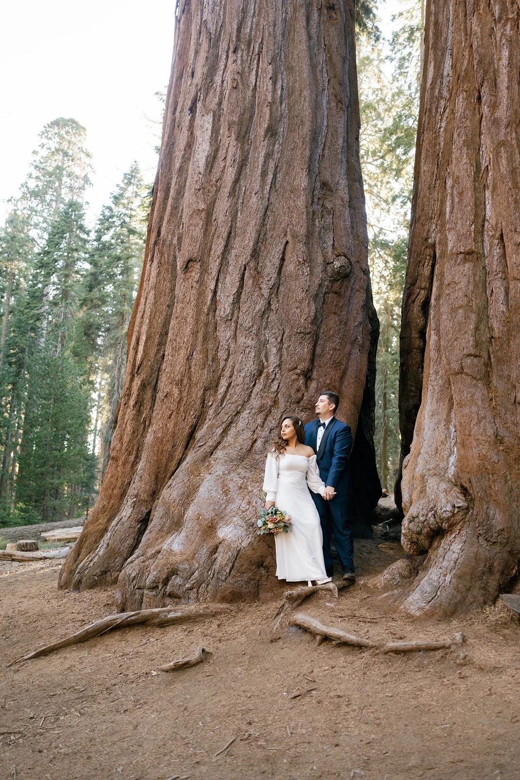 sequoia-national-park-elopement302.jpg