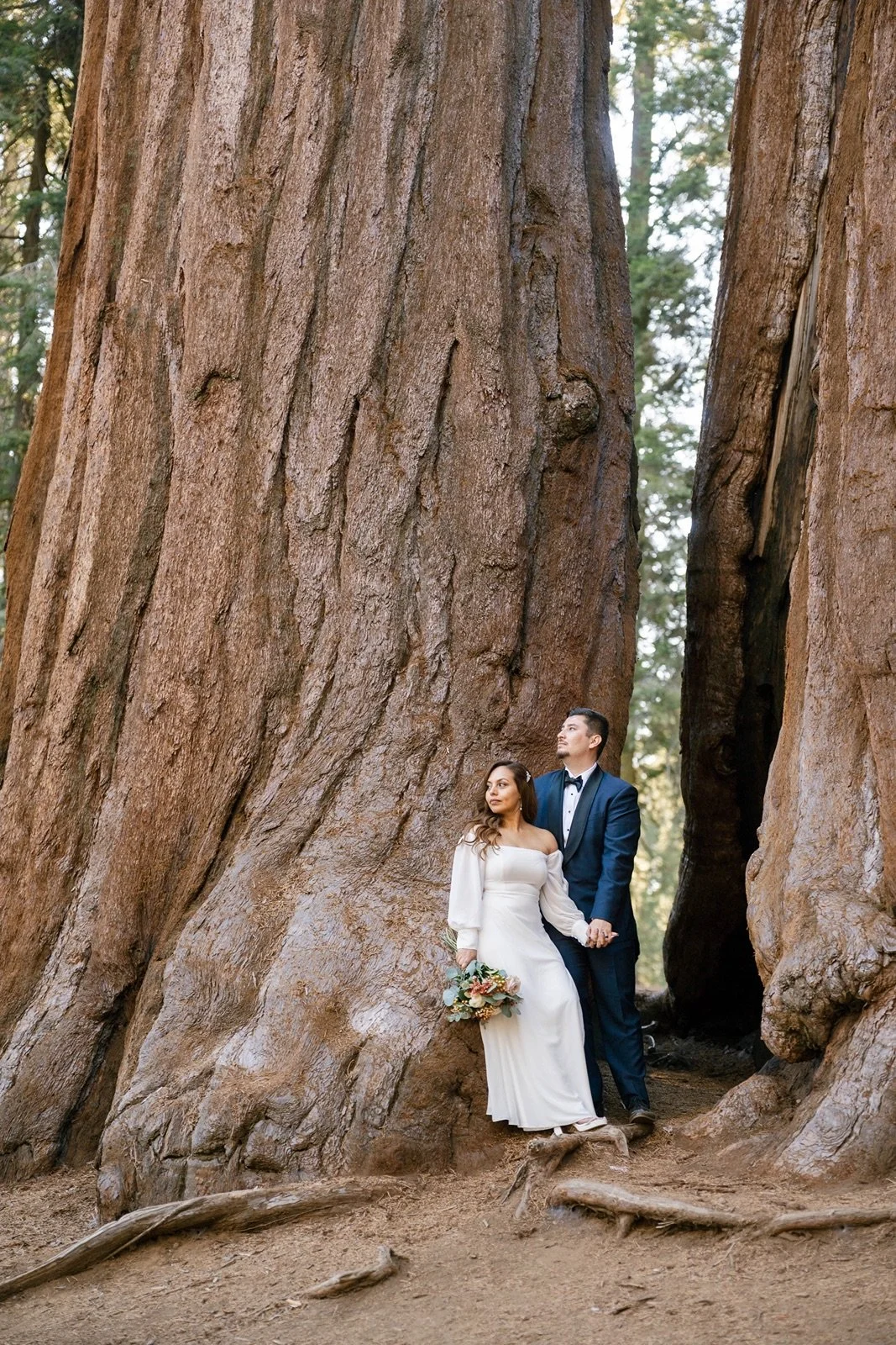 sequoia-national-park-elopement222.jpg