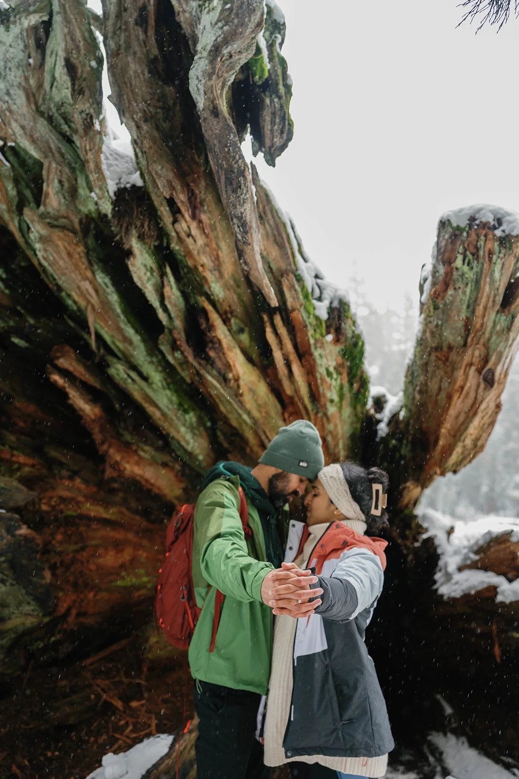 surprise-proposal-beetle-rock-sequoia-photo54.jpg