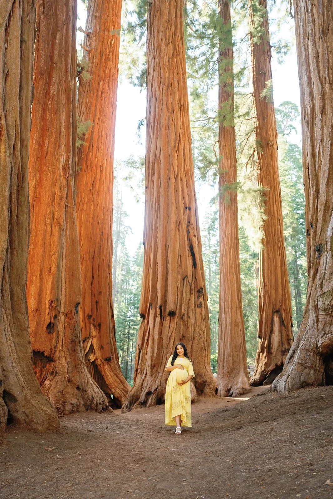 sequoia-national-park-maternity-photos16.jpg