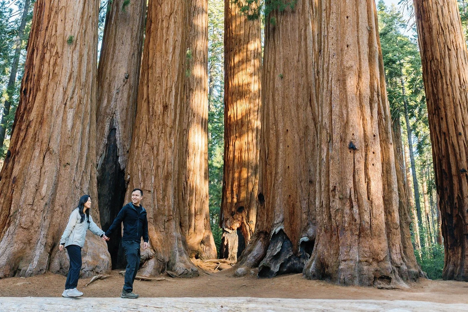 sequoia-national-park-engagement-37.jpg