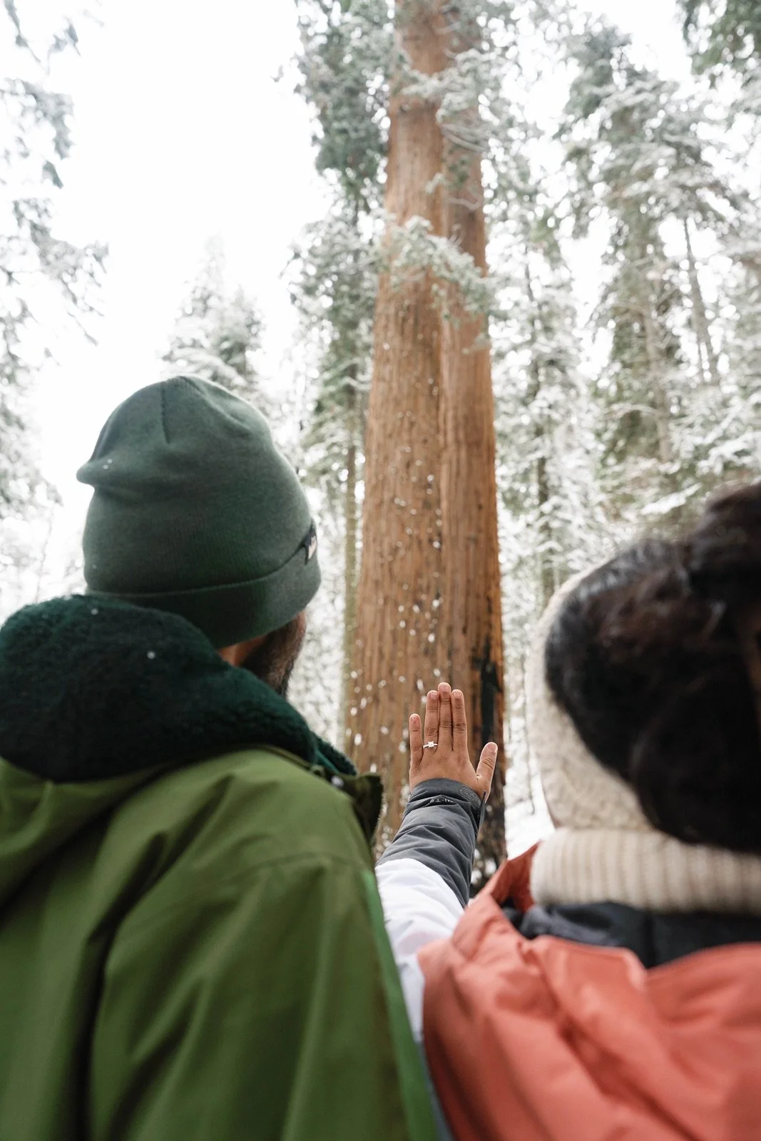 surprise-proposal-beetle-rock-sequoia-photo109.jpg