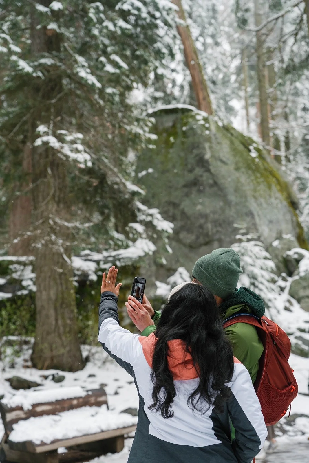 surprise-proposal-beetle-rock-sequoia-photo106.jpg
