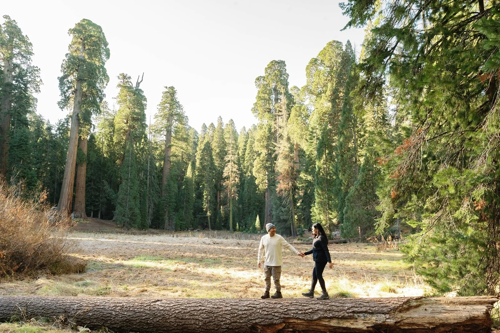 sequoia-national-park-engagement-photographer-126.jpg