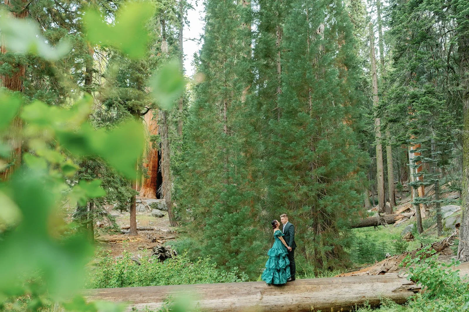 Couple at their 5-year vow renewal in Sequoia