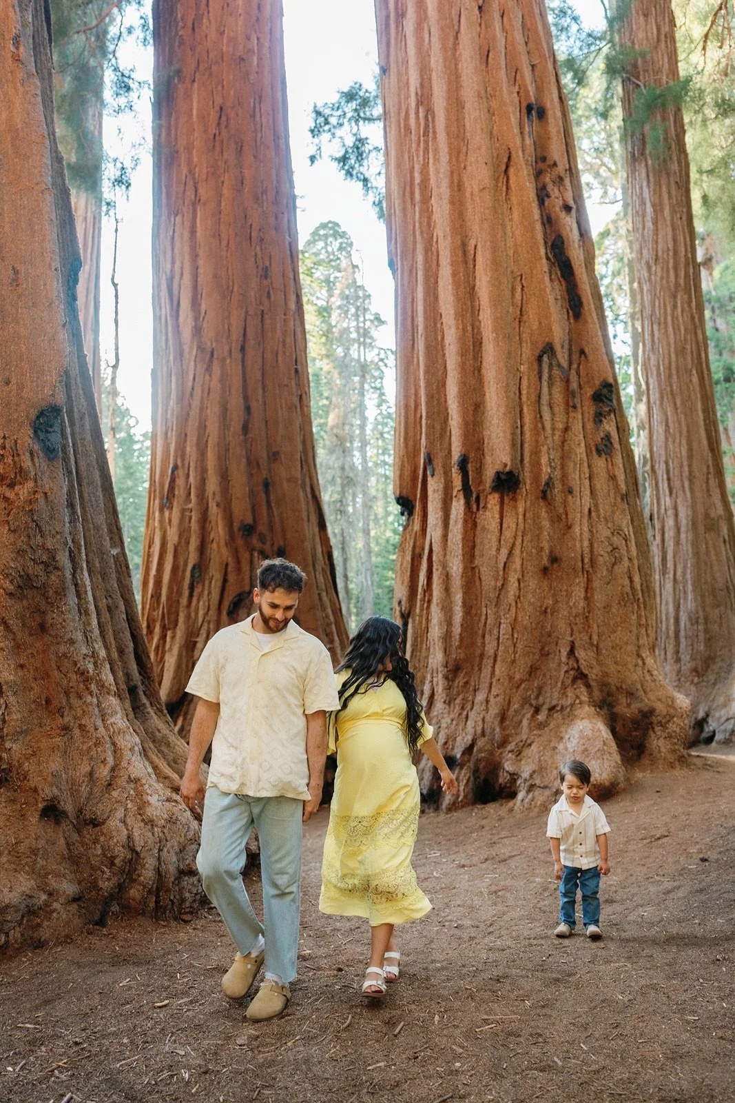 sequoia-national-park-maternity-photos40.jpg