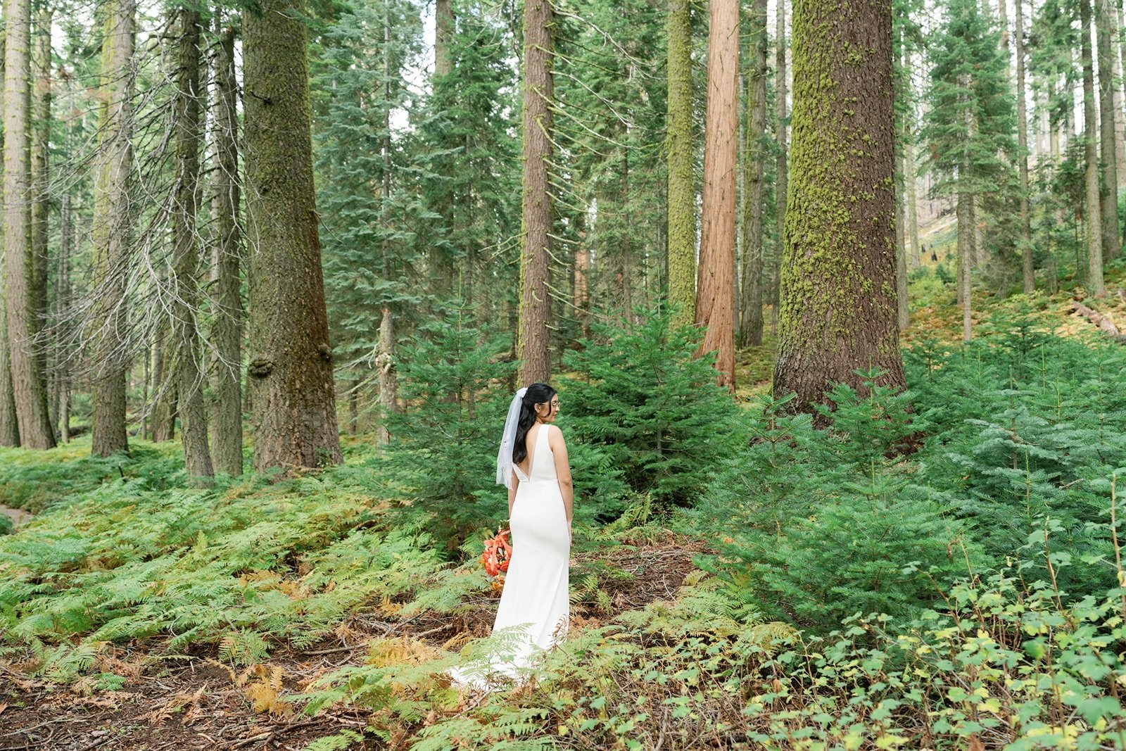 sequoia-elopement-photographer-11.jpg
