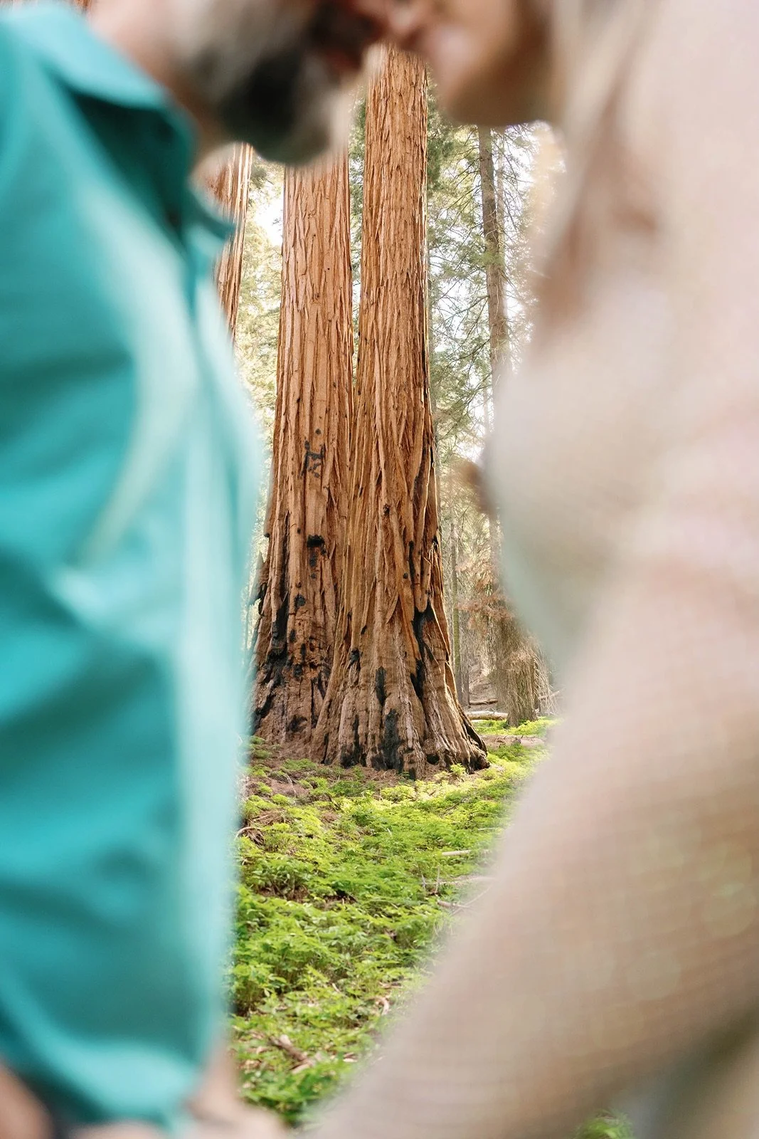 sequoia-national-park-wedding-photographer9.jpg